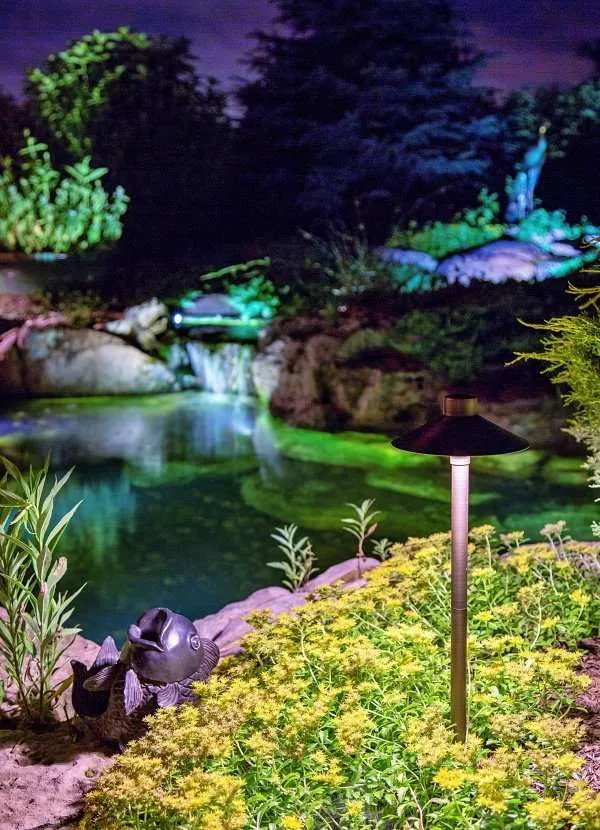 Water Feature Lighting Ideas | Backyard and Garden Lighting
