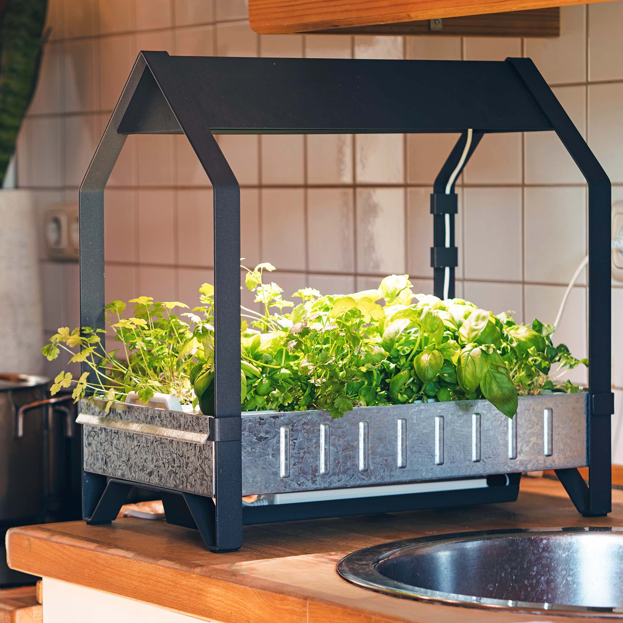 Whether you opt for a smart grow kit or a few pots, a countertop herb garden will elevate your kitchen and keep fresh ingredients close to hand in every season. | Gardening