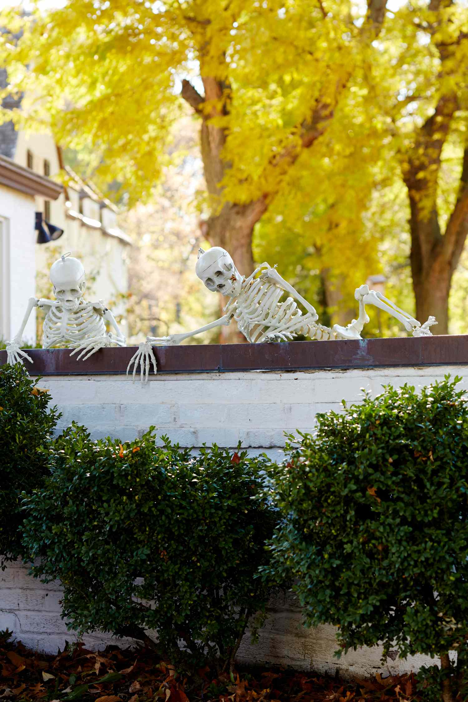 25 Outdoor Skeleton Decor Ideas For a Fun Halloween
