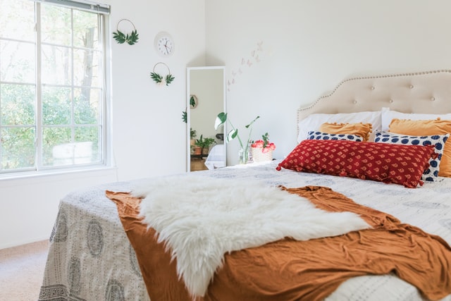 5 best college dorms - Daily Dream Decor