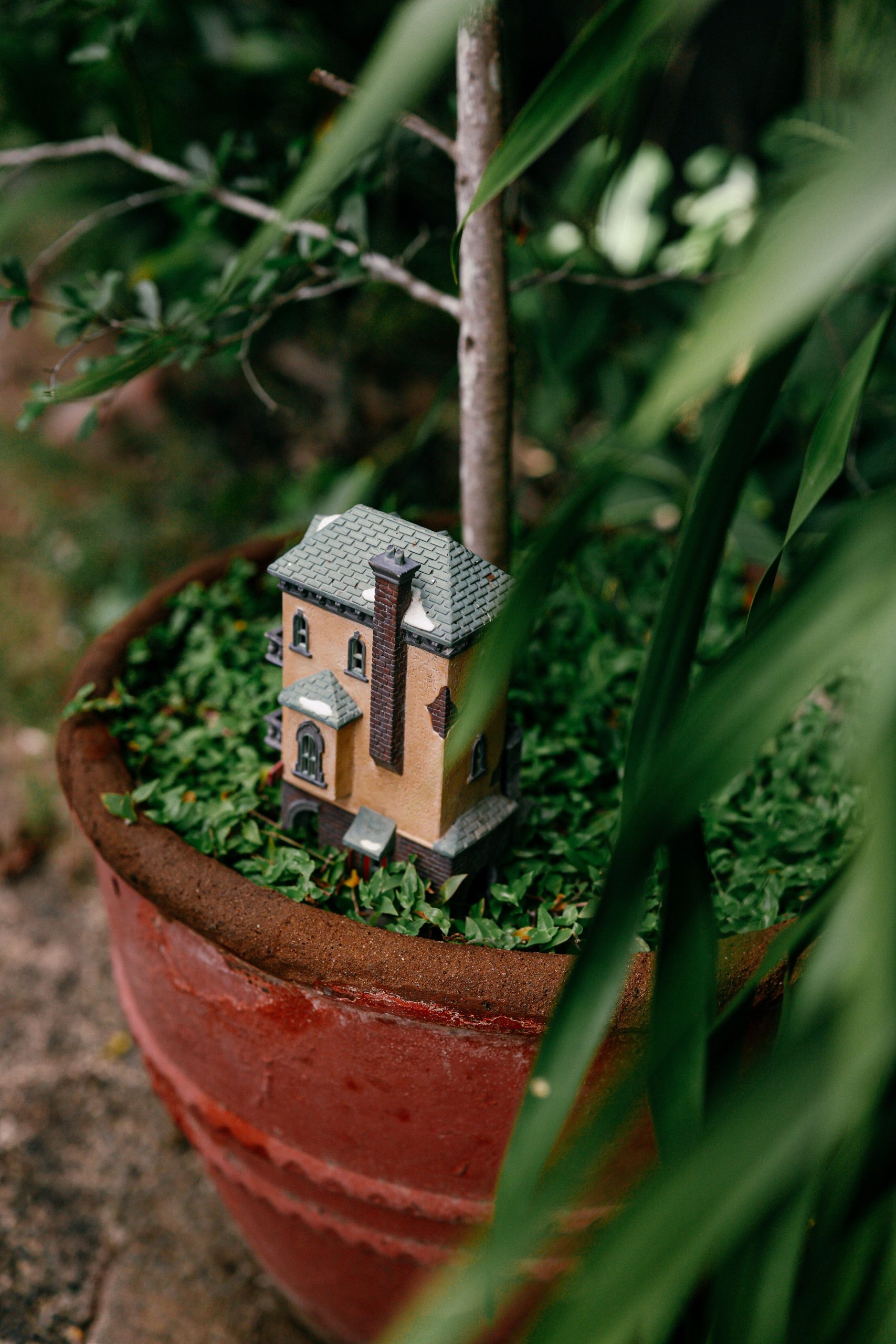 A charming miniature house nestled in a potted plant adds whimsical charm to any garden.
