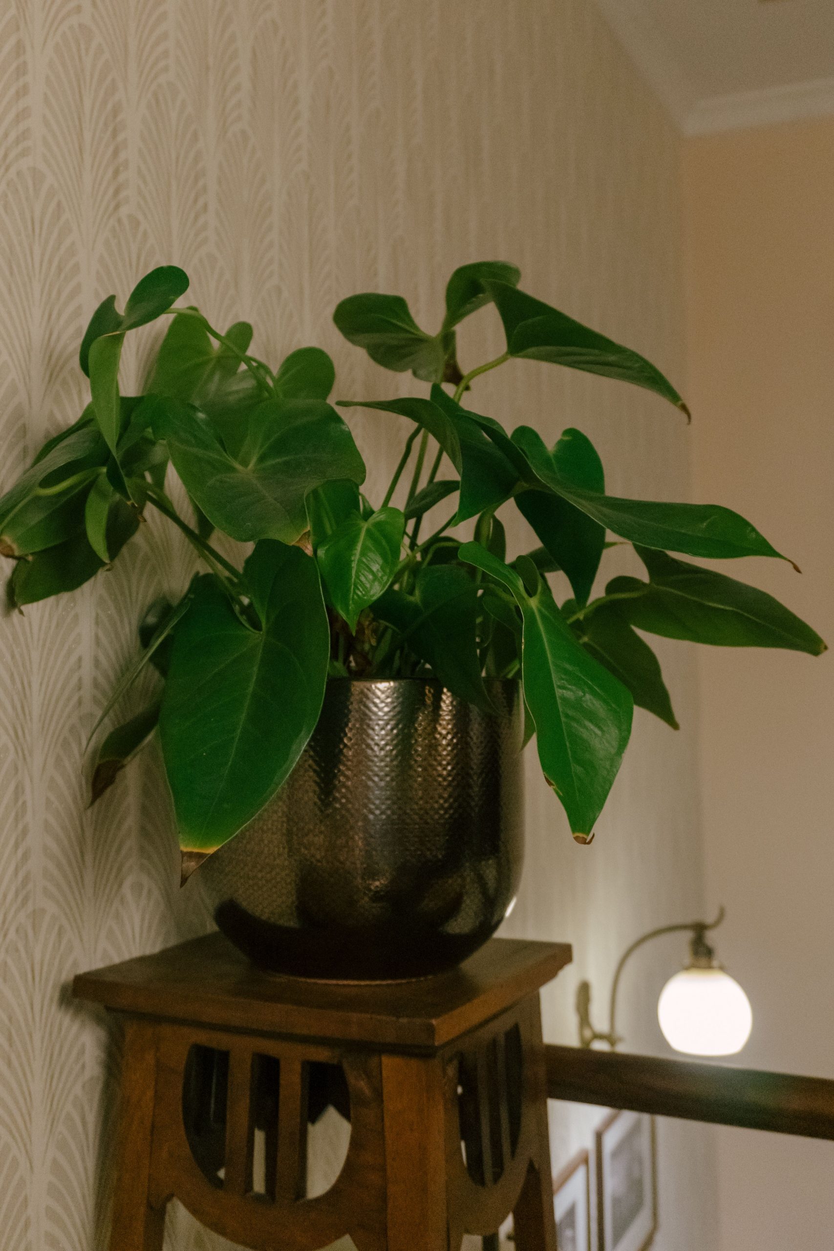 A chic indoor plant in a textured metal pot placed on a decorative wooden stand.