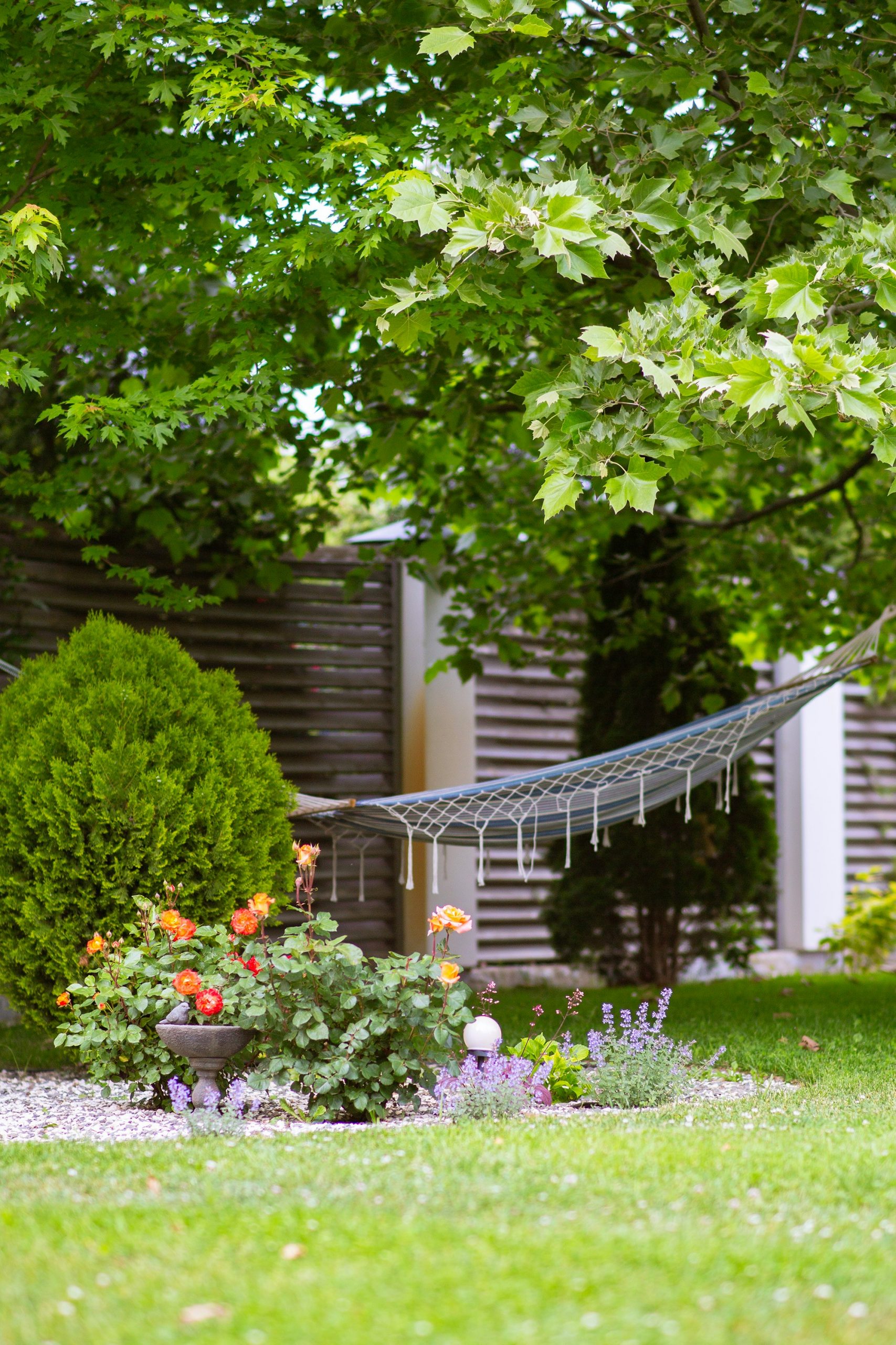 A cozy backyard garden with a hammock under green trees and blooming flowers.
