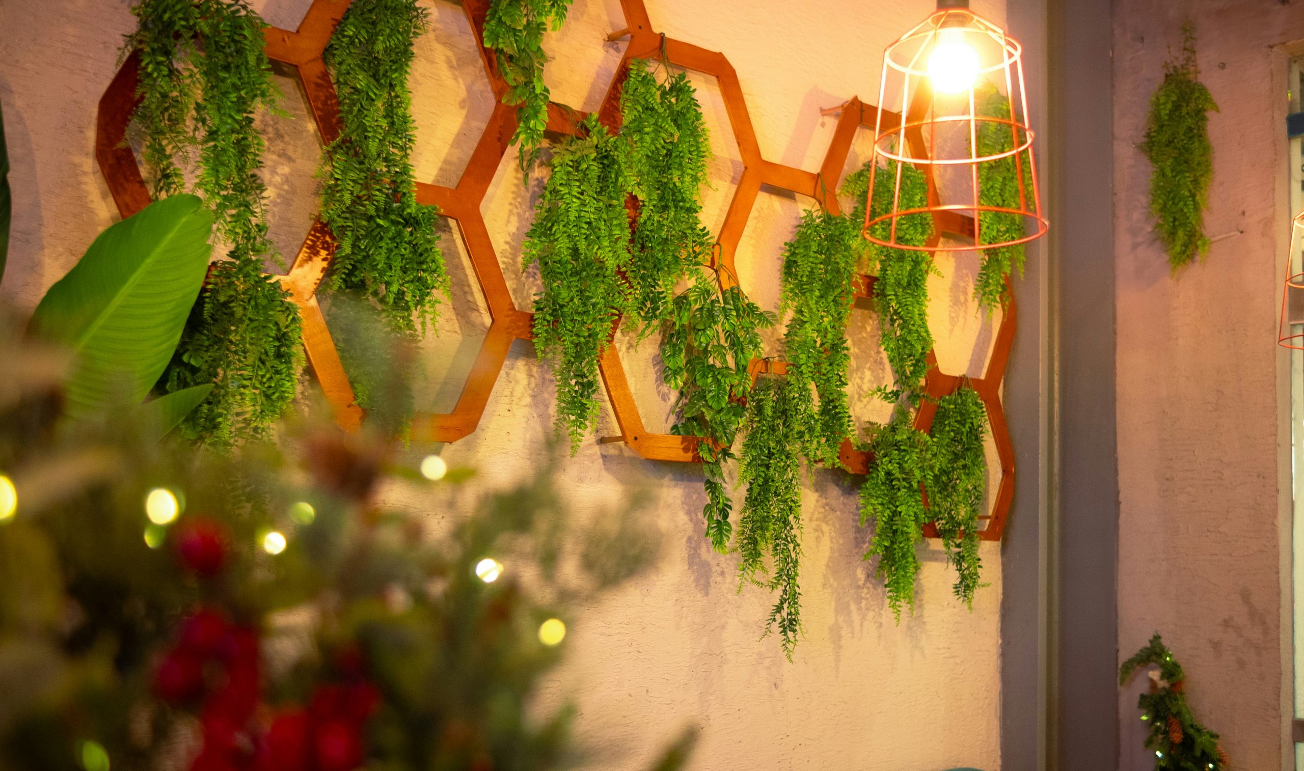 A room with a bunch of plants hanging on the wall