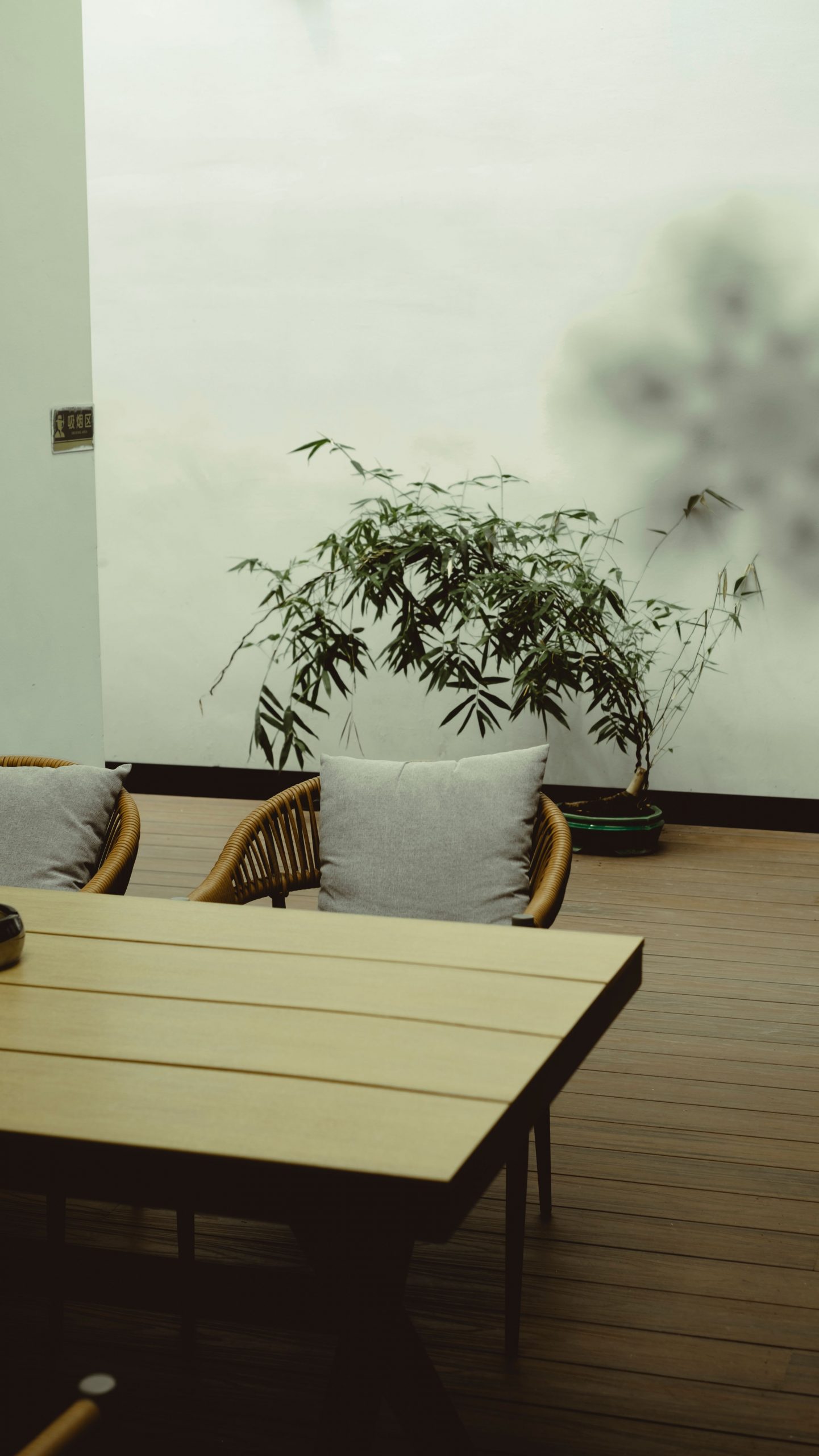A serene minimalist patio design featuring bamboo plants and outdoor seating.