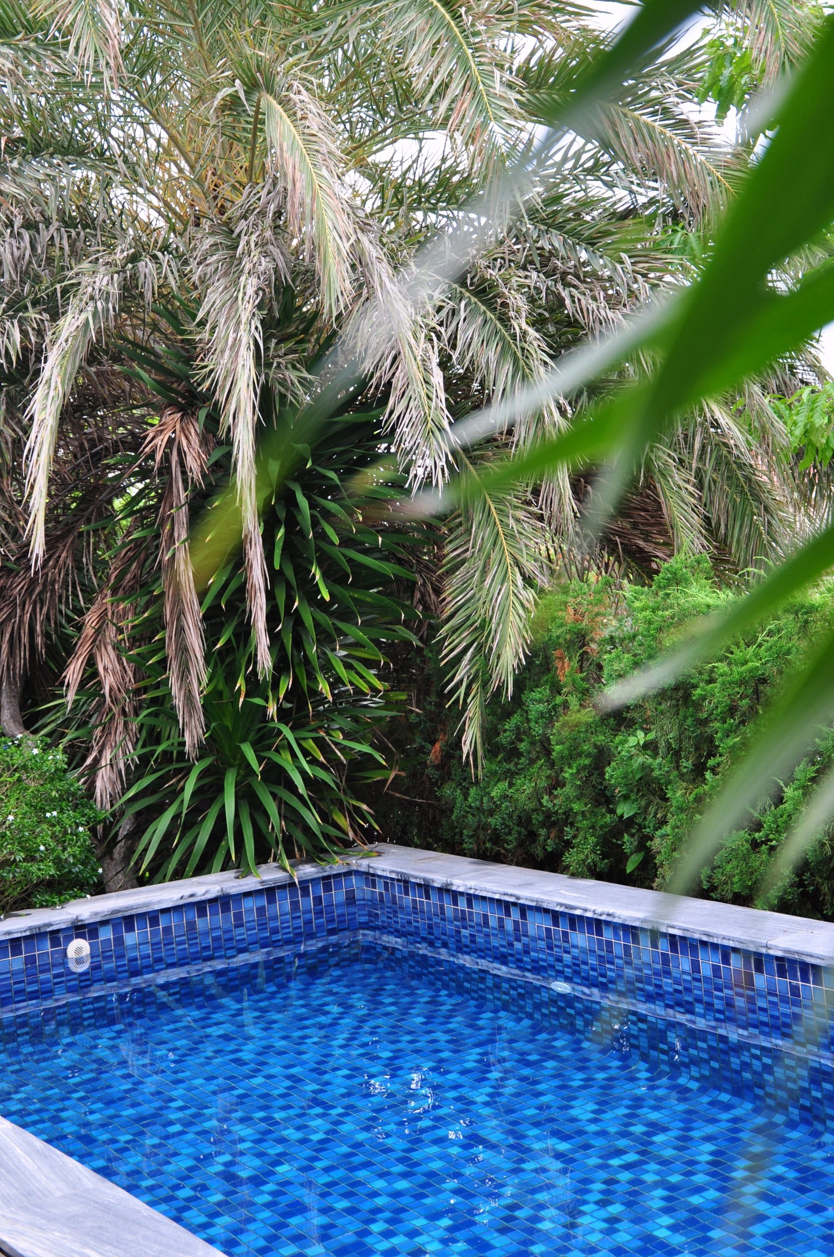 A serene poolside corner surrounded by lush tropical foliage, perfect for relaxation.