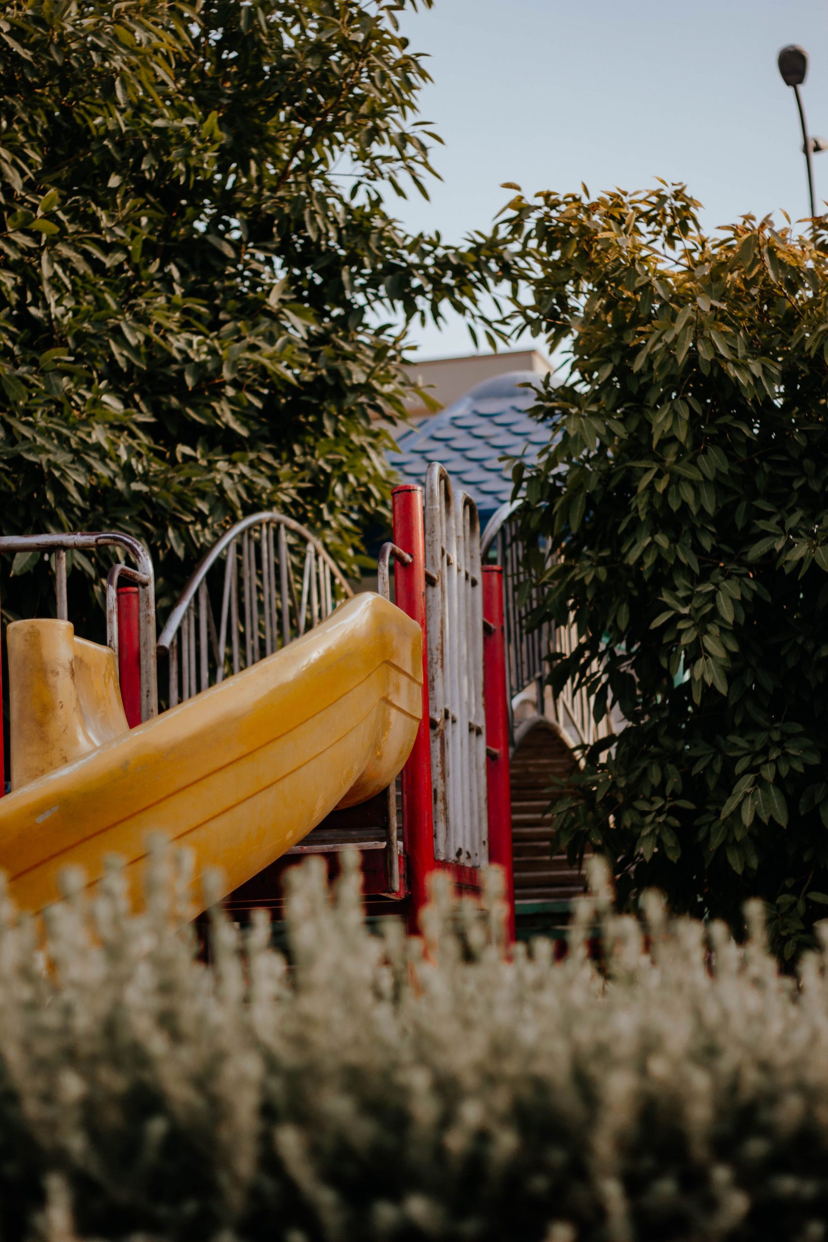 A vibrant yellow slide surrounded by lush greenery in an outdoor playground setting.