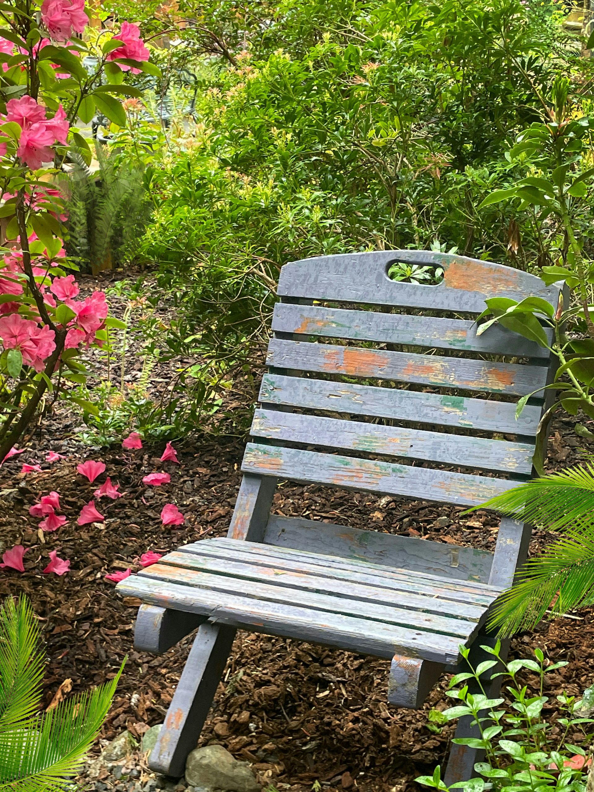 a wooden bench sitting in the middle of a garden