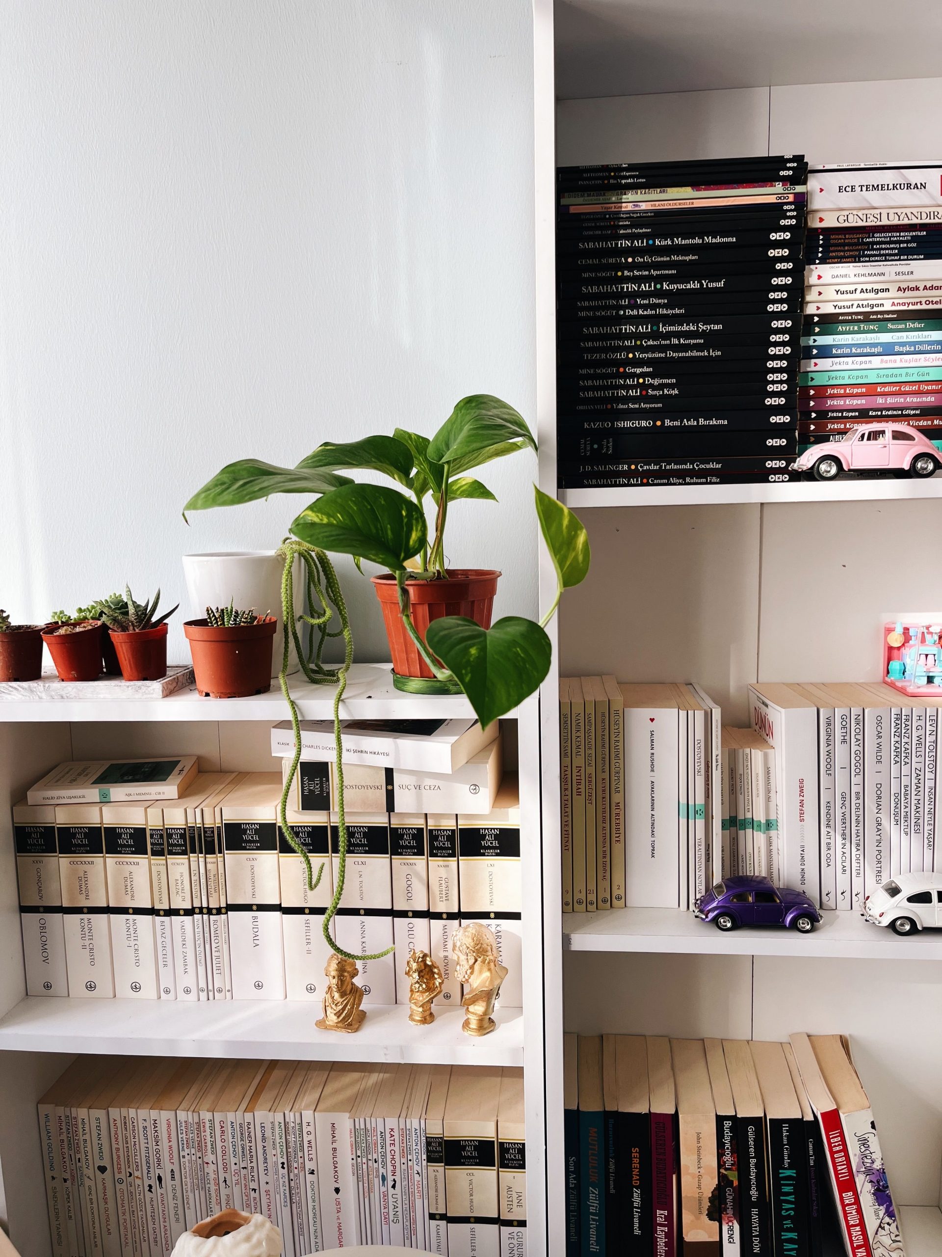 Aesthetic corner featuring shelves of books, potted plants, and miniature car models in a cozy room.