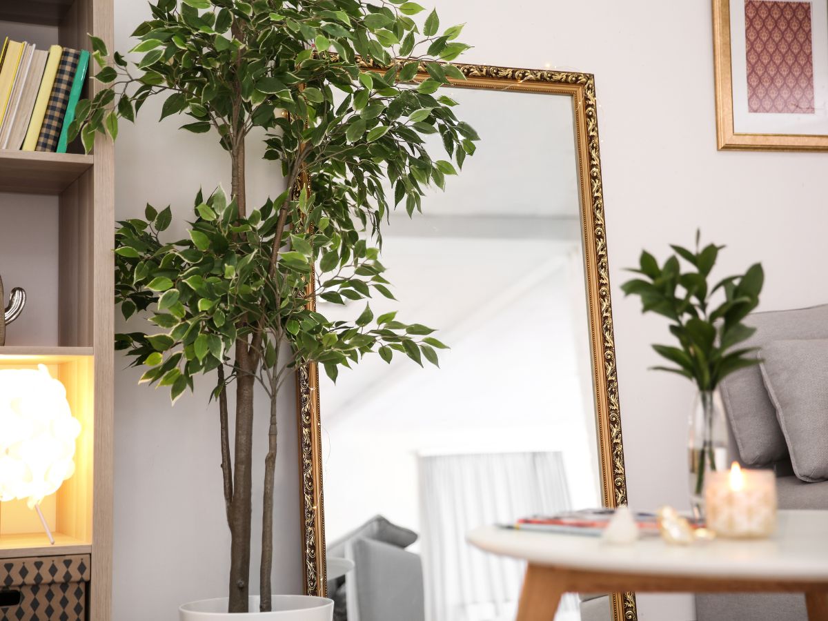 Avoiding Common Mirror Placement Mistakes