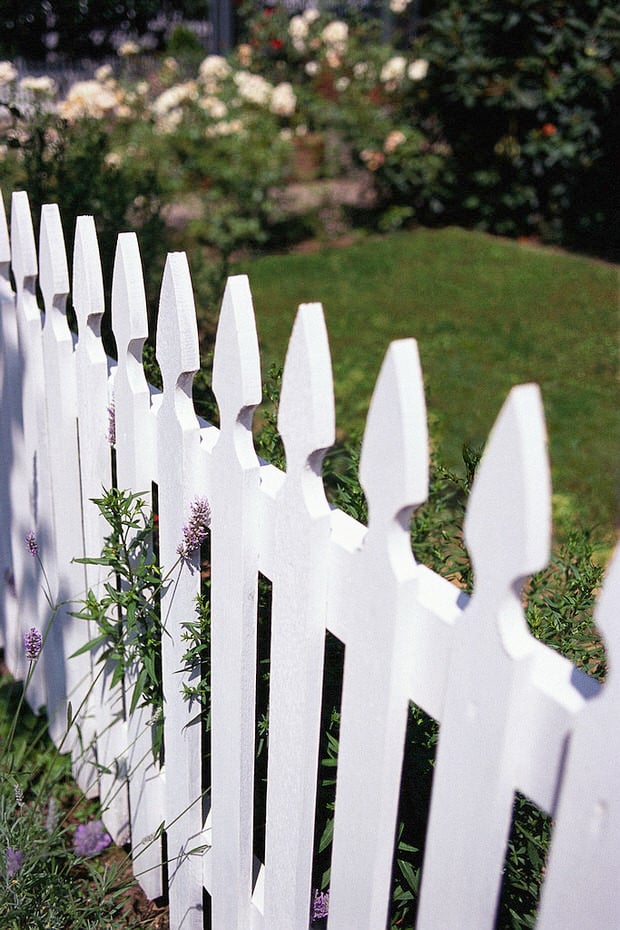 Build A Simple & Small Garden Fence (Low Cost Ideas) • The Garden Glove
