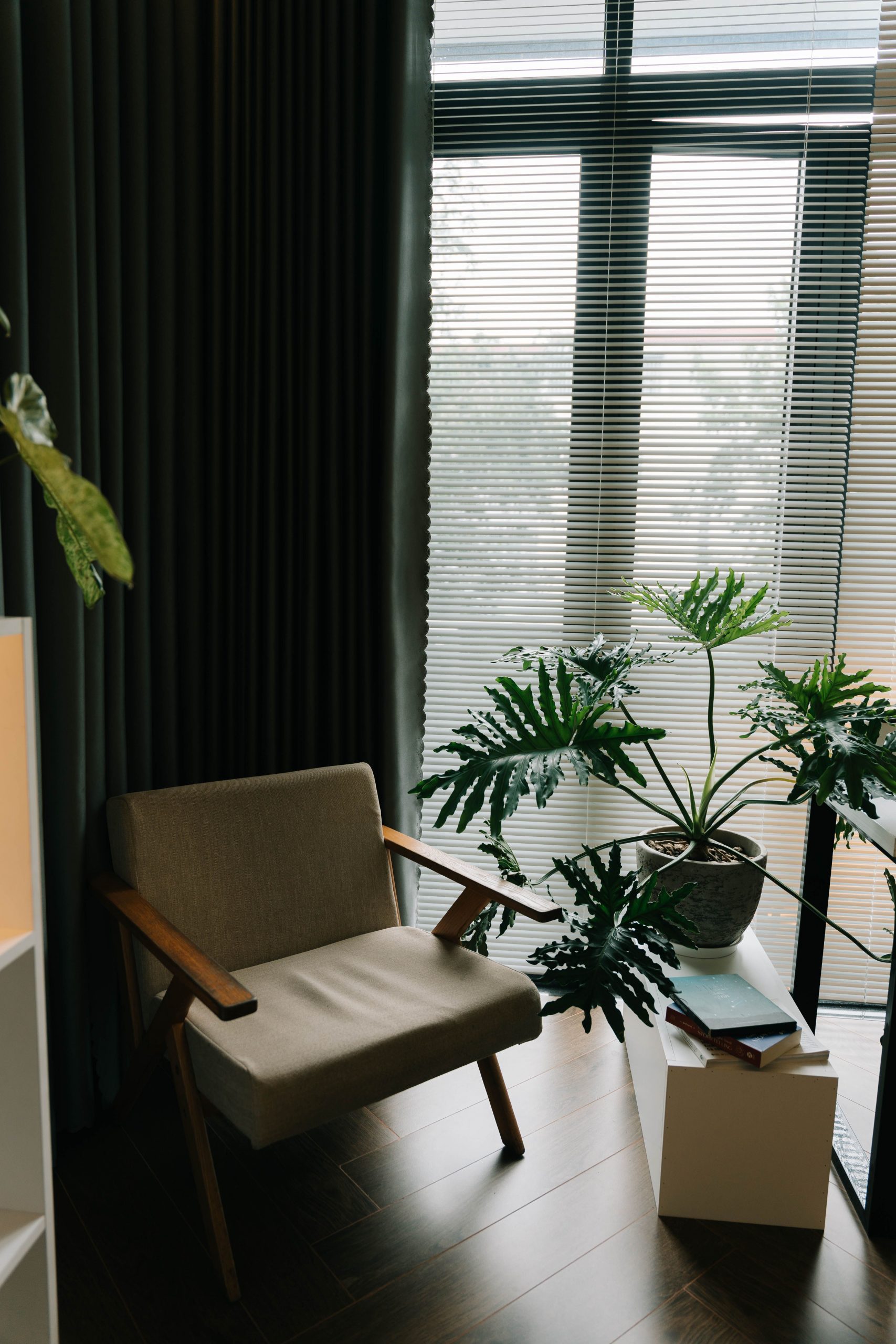 Calming minimalist interior featuring a modern armchair and lush green plant by a window.