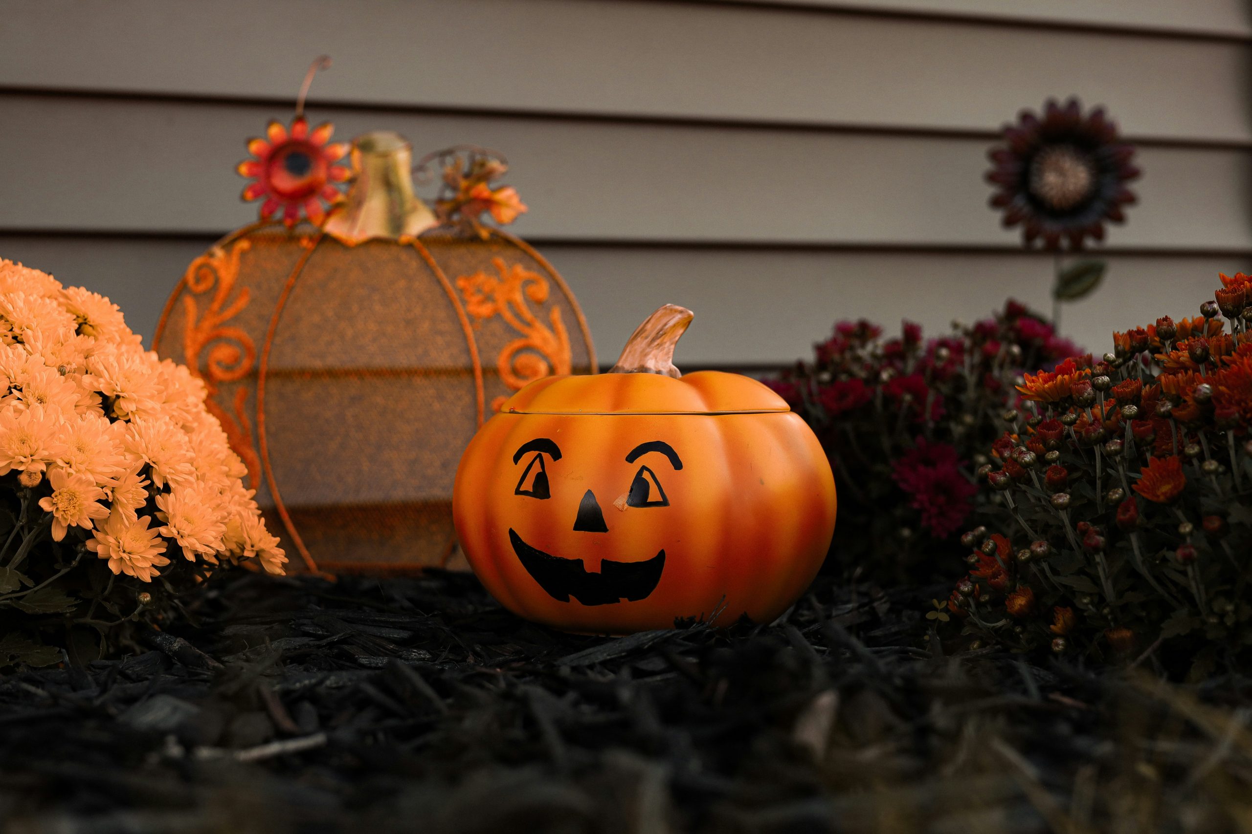 carved pumpkins with faces carved into them
