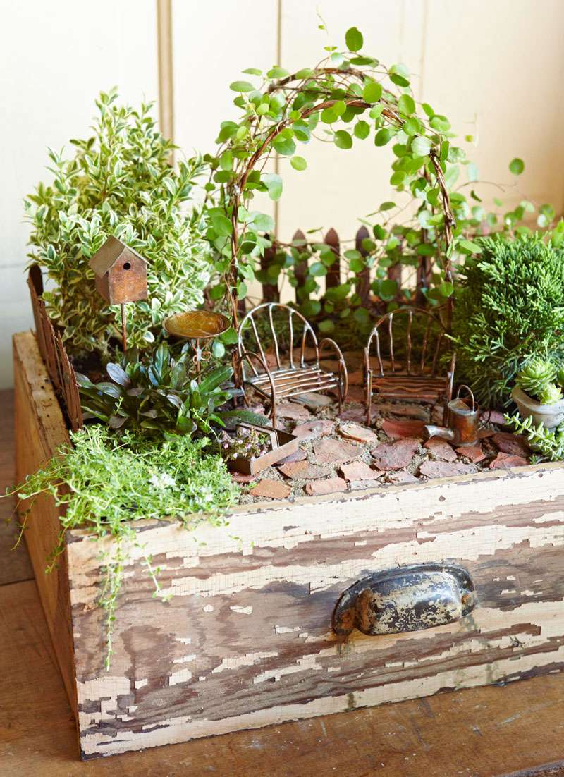 Create a Magical Miniature Garden