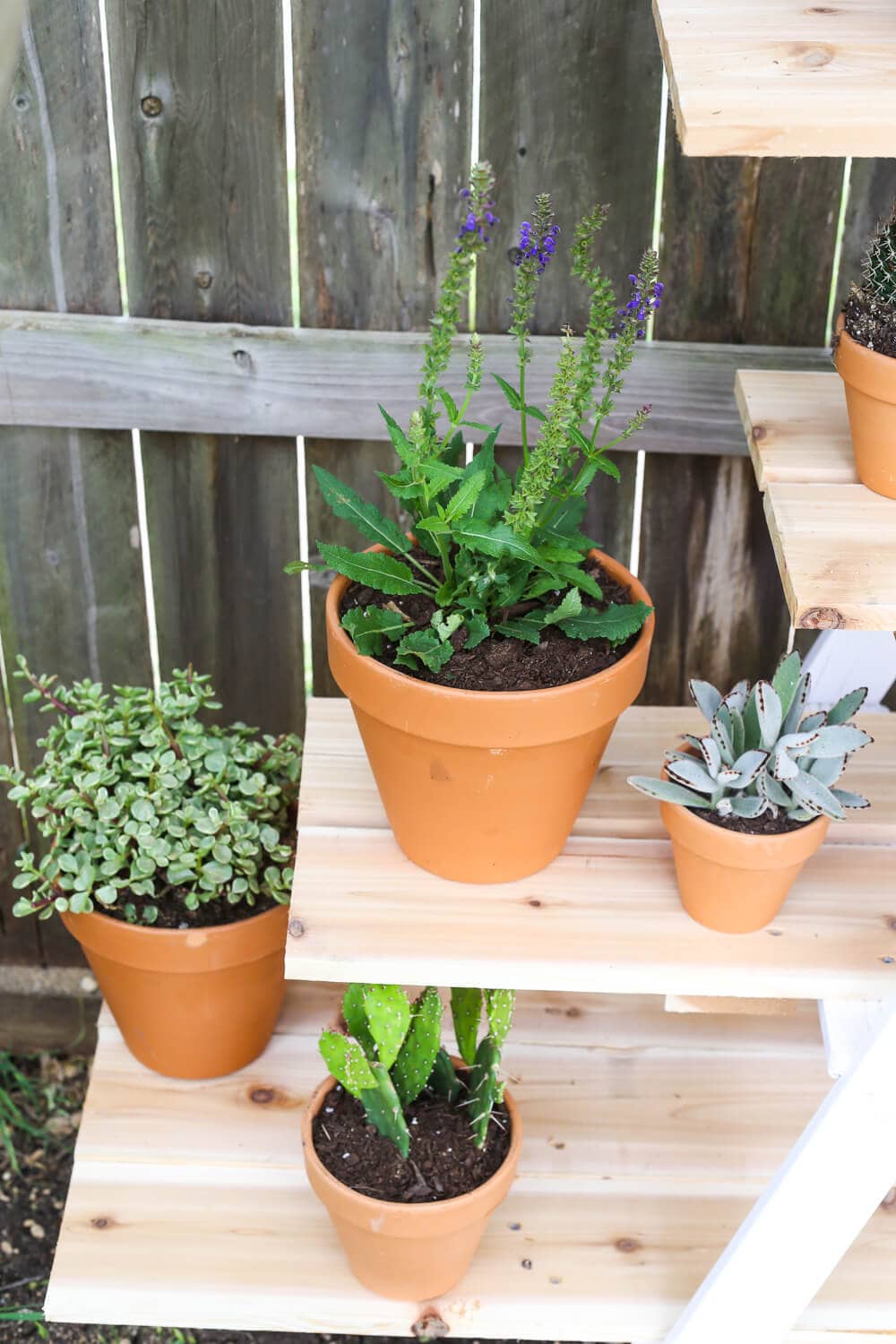 DIY Tiered Plant Stand From an Old Ladder - Love & Renovations