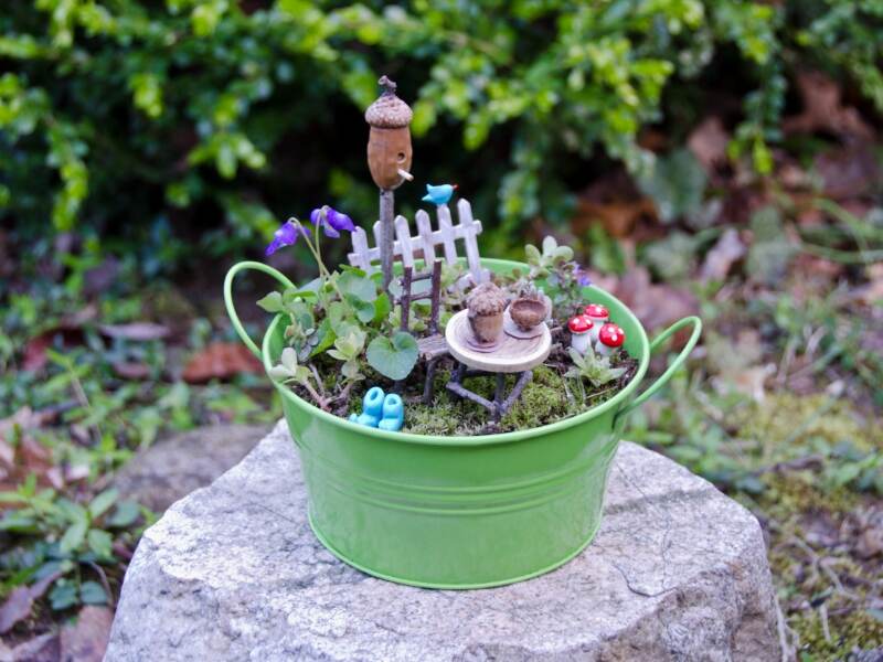 Fairy Garden Ideas and How to Build a Fairy Garden