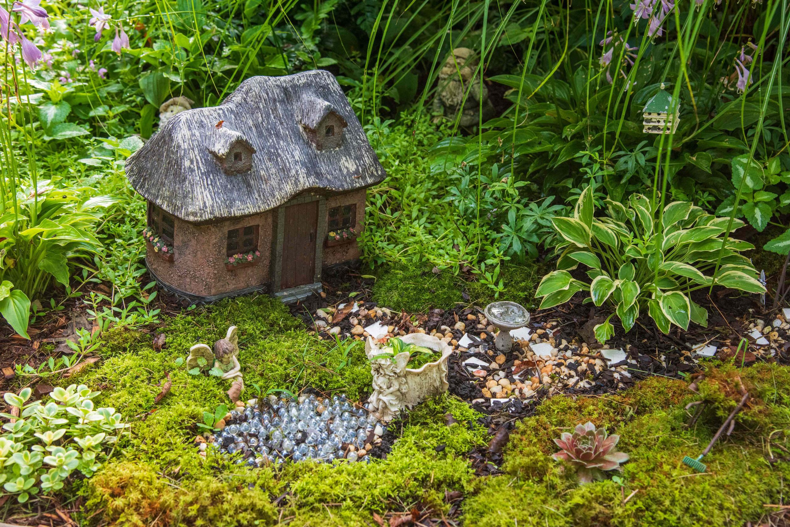 Fairy Gardening Brings a Touch of Magic to Your Backyard This Spring