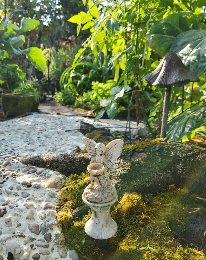 How to Create a Fairy Path Through Raised Tree Roots - The Tropical Grower