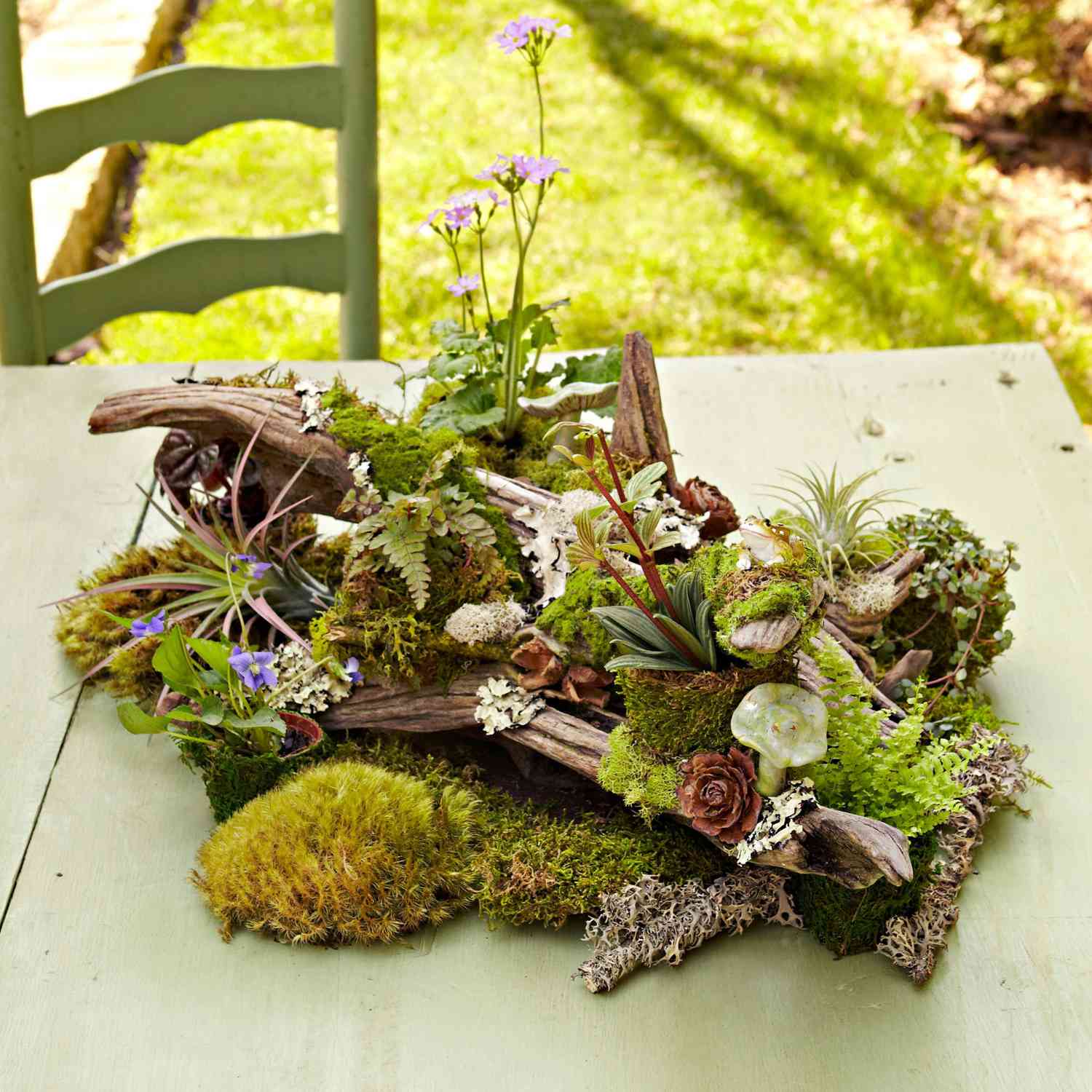 How to Make a Tabletop Woodland Garden