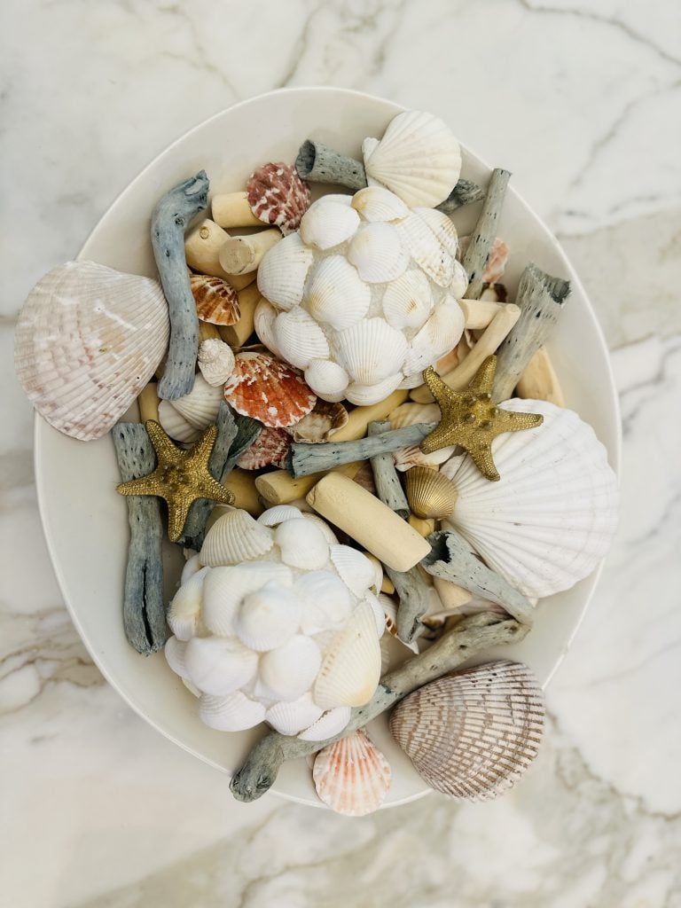 How To Make DIY Coastal Decor with Dollar Tree Seashells Story - Amy Sadler Designs