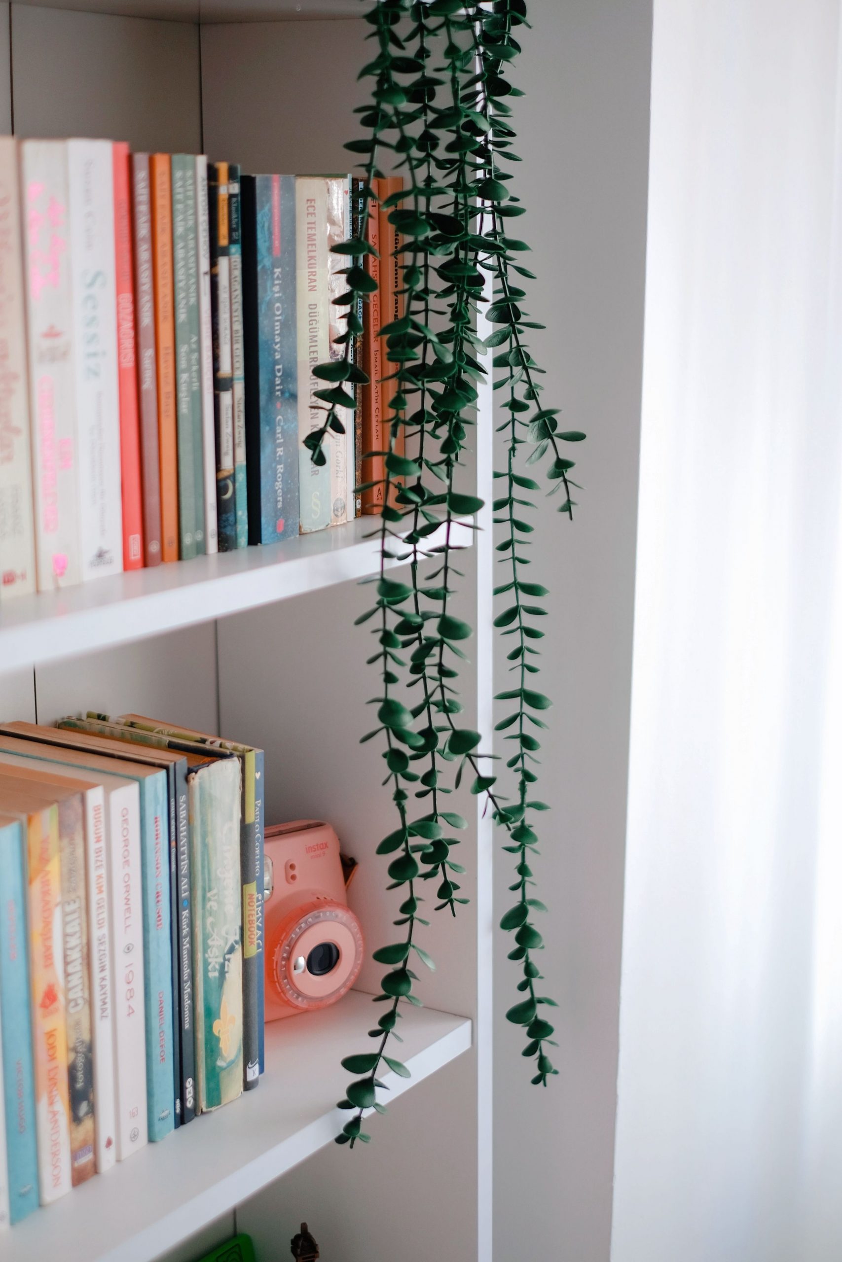 Minimalist bookshelf featuring books, camera, and green plant decor.