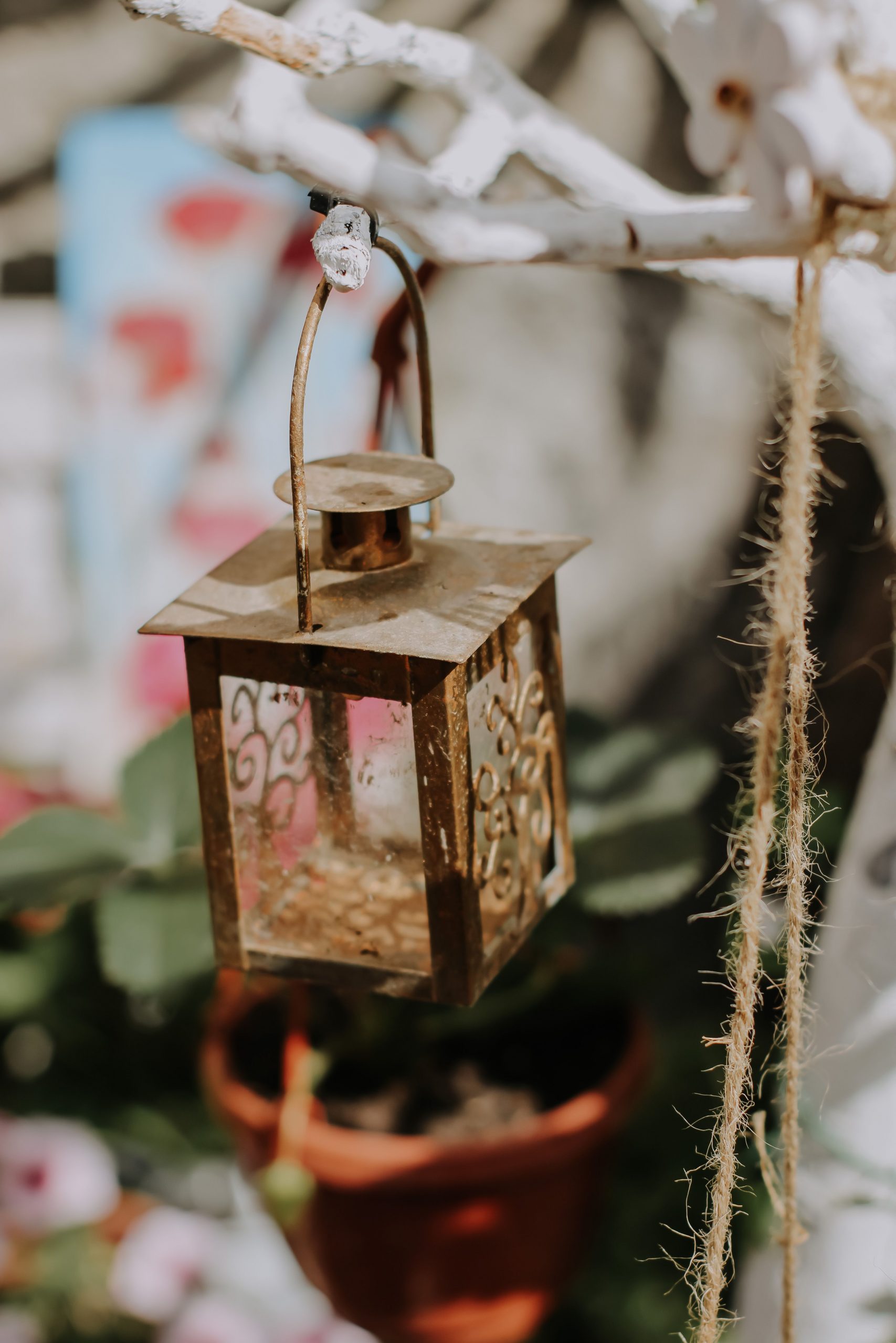 Rustic lantern hanging on a branch with sunlight and garden background.