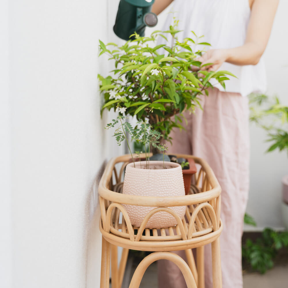 Sage Wicker Plant Stand | MOMIJI