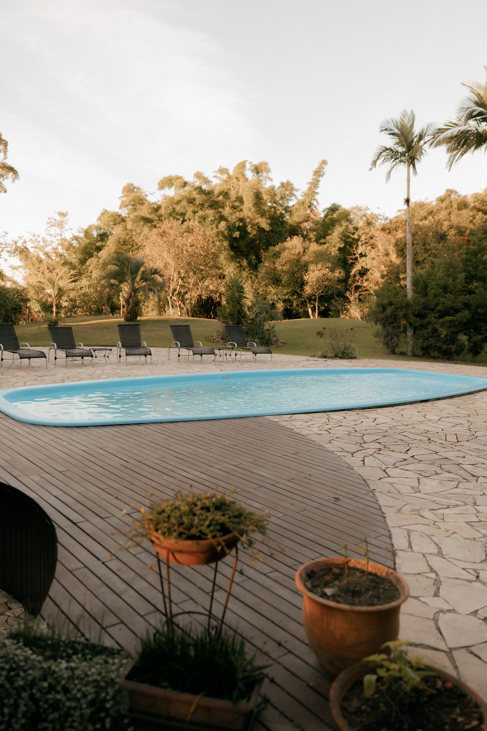 Serene backyard pool surrounded by lush greenery and lounge chairs, perfect for relaxation and summer vibes.