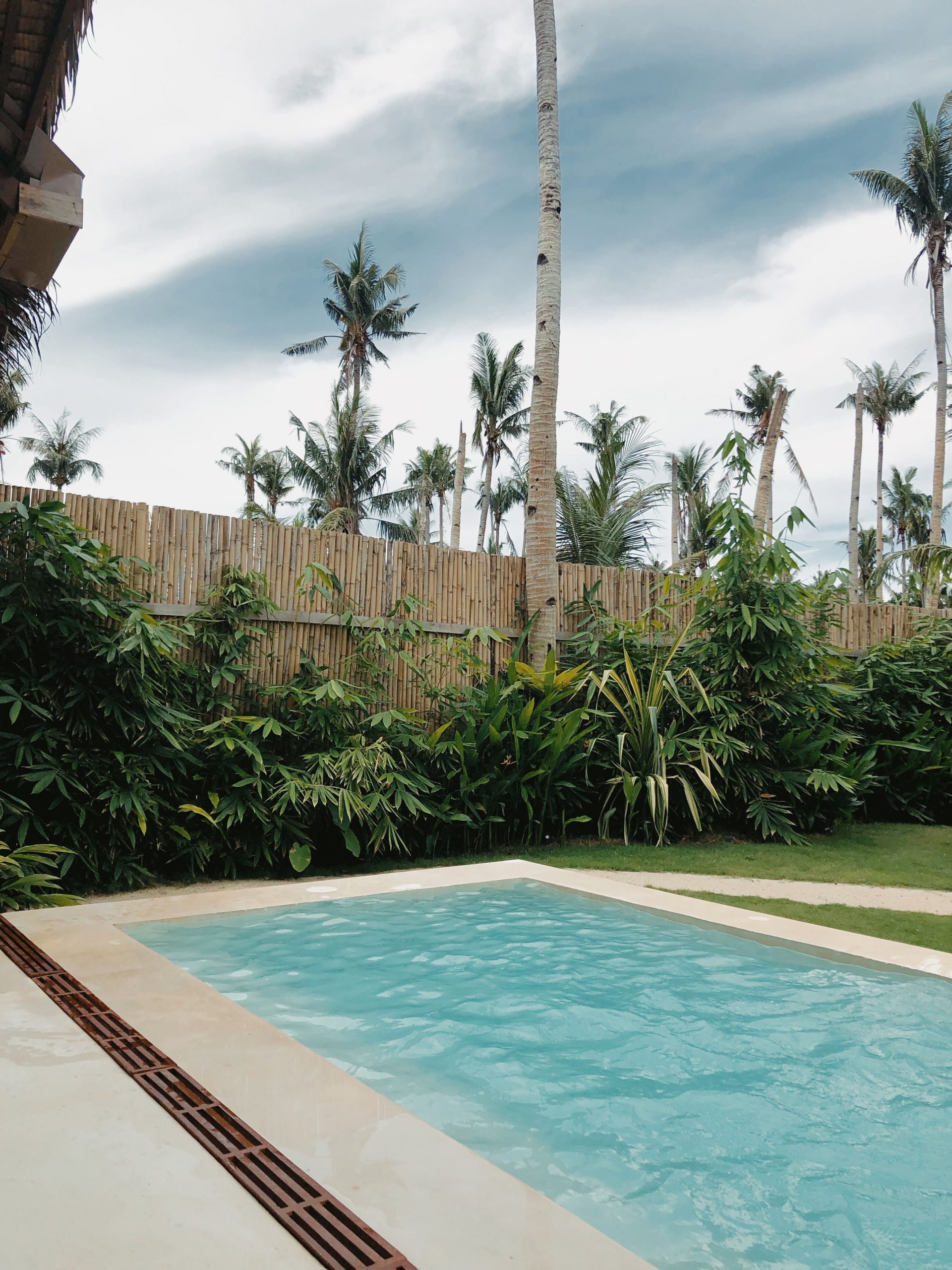 Serene swimming pool surrounded by tropical plants and palm trees, offering a relaxing outdoor escape.