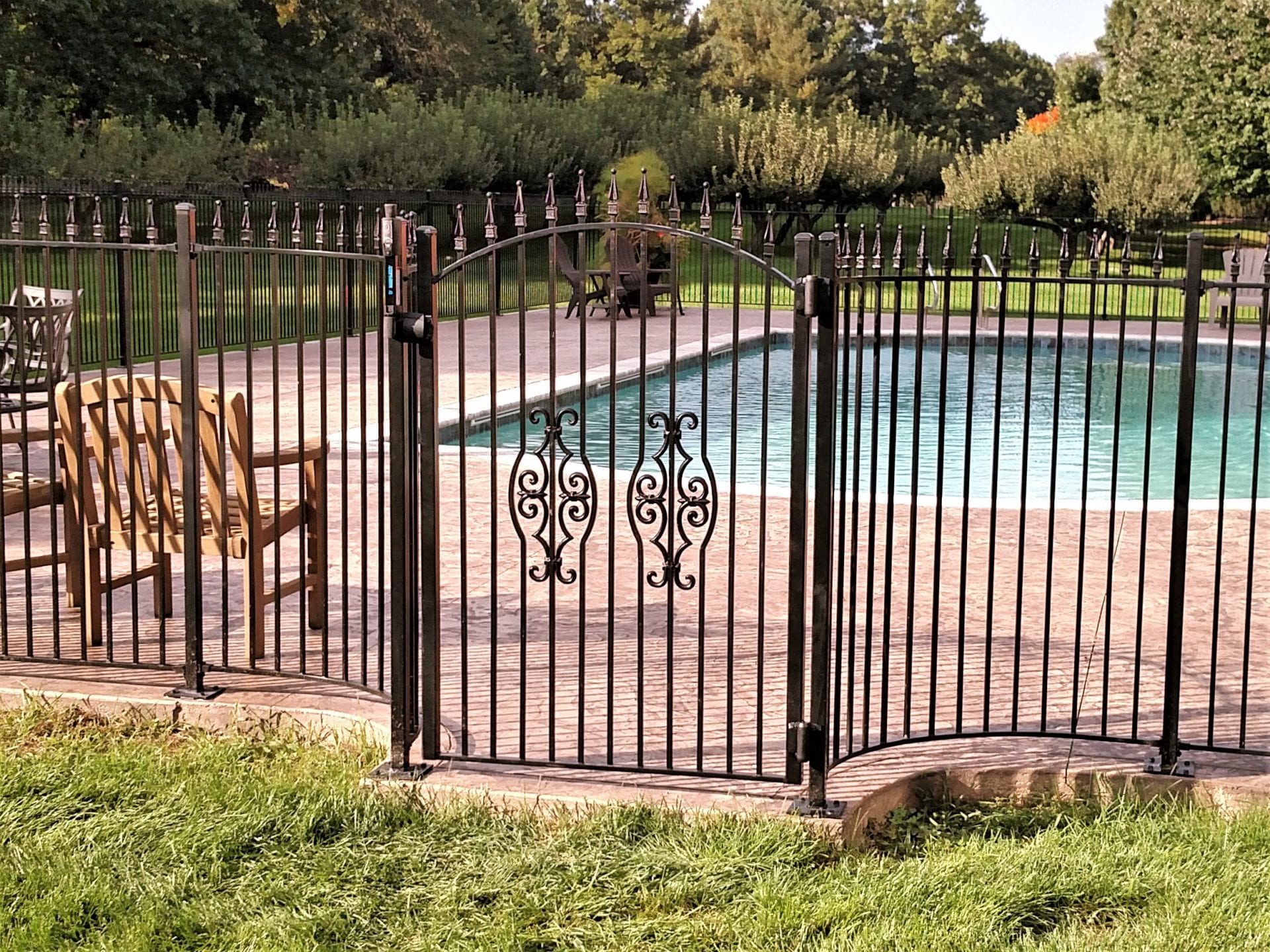Spear Top Pool Fence with Curved Gate - Great Lakes Metal Fabrication