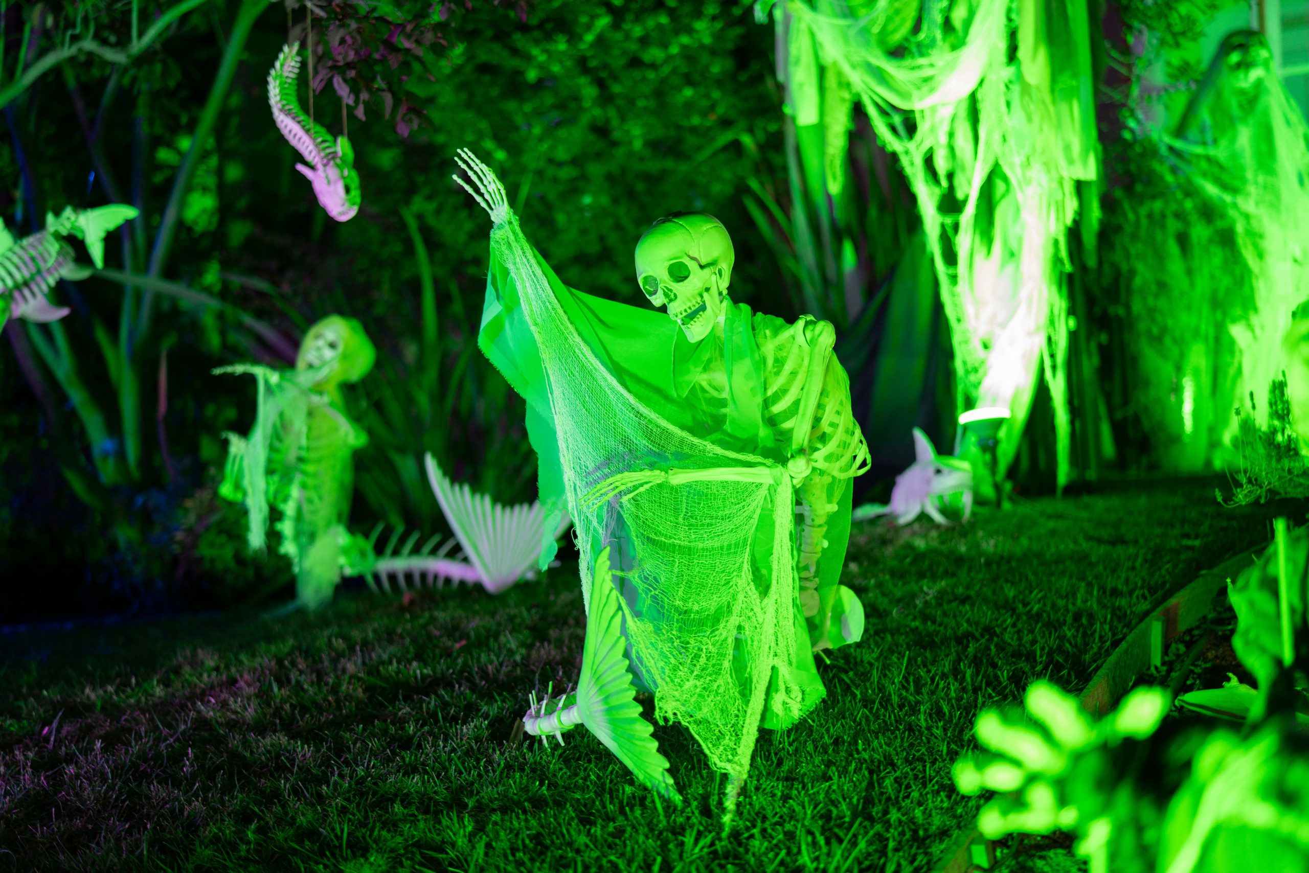 Spooky skeletons glow green in a halloween yard.