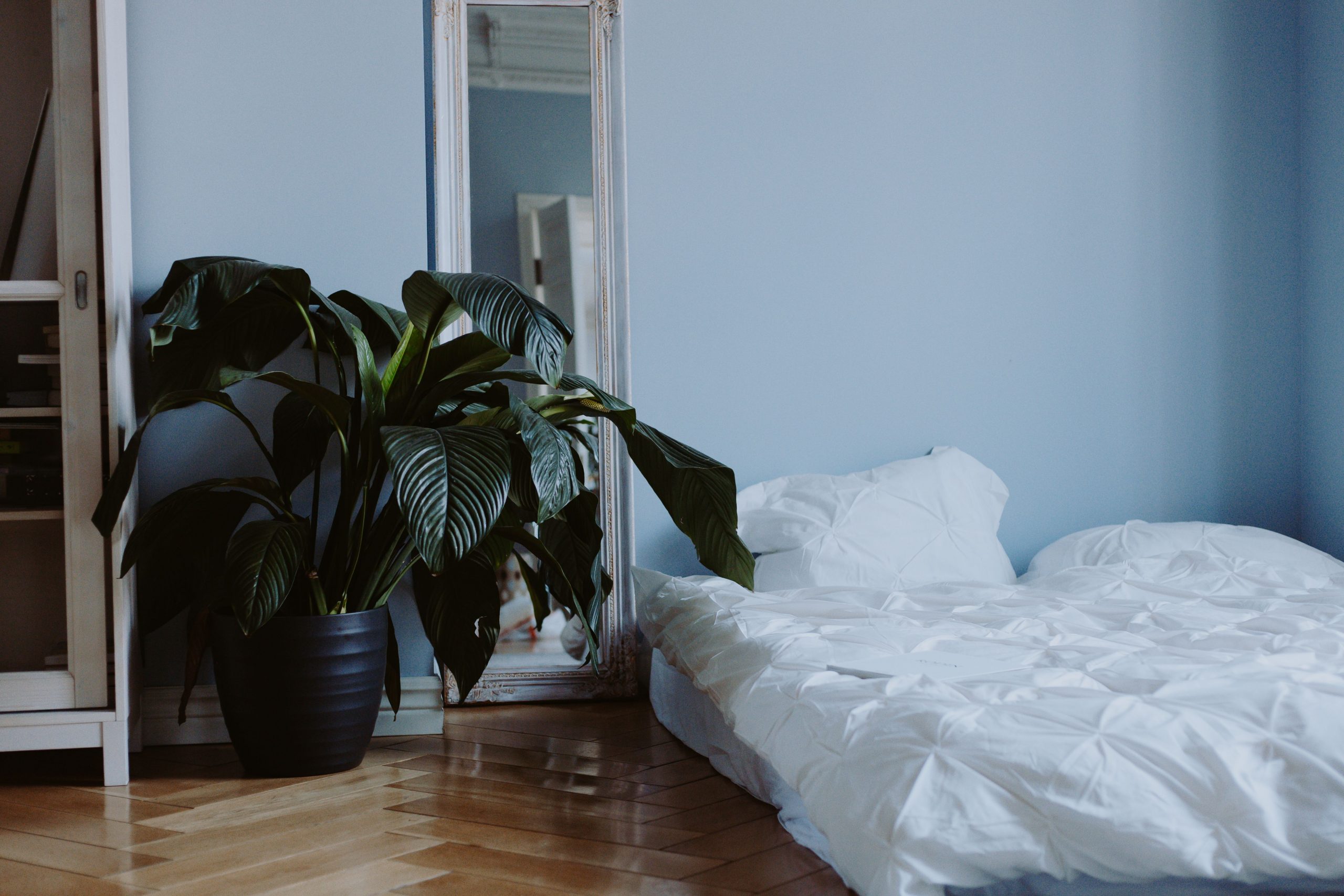Stylish minimalist bedroom featuring a large potted plant, white bedding, and a full-length mirror.