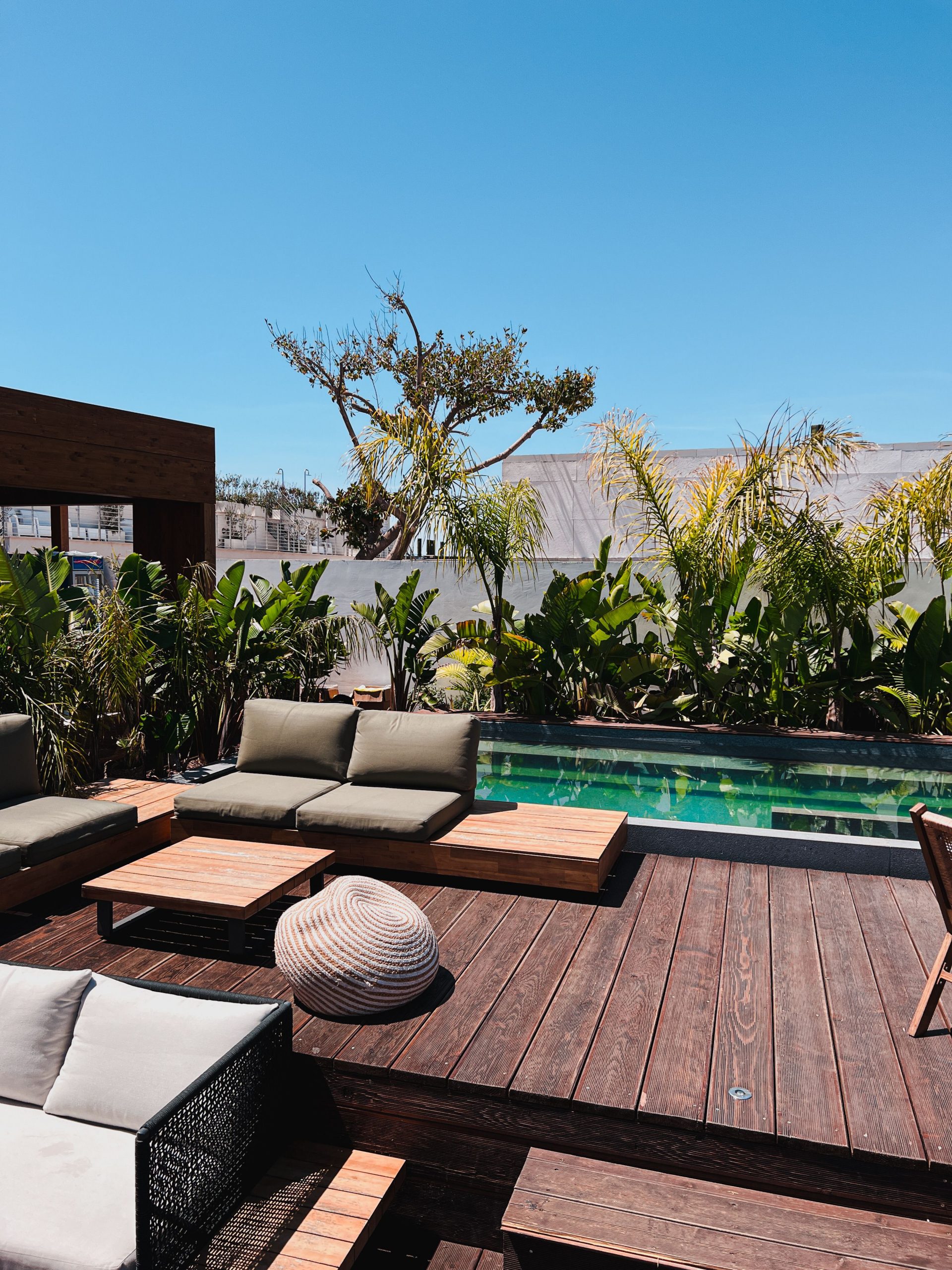 Stylish patio with lush plants, wooden deck, and a modern swimming pool under clear blue sky.