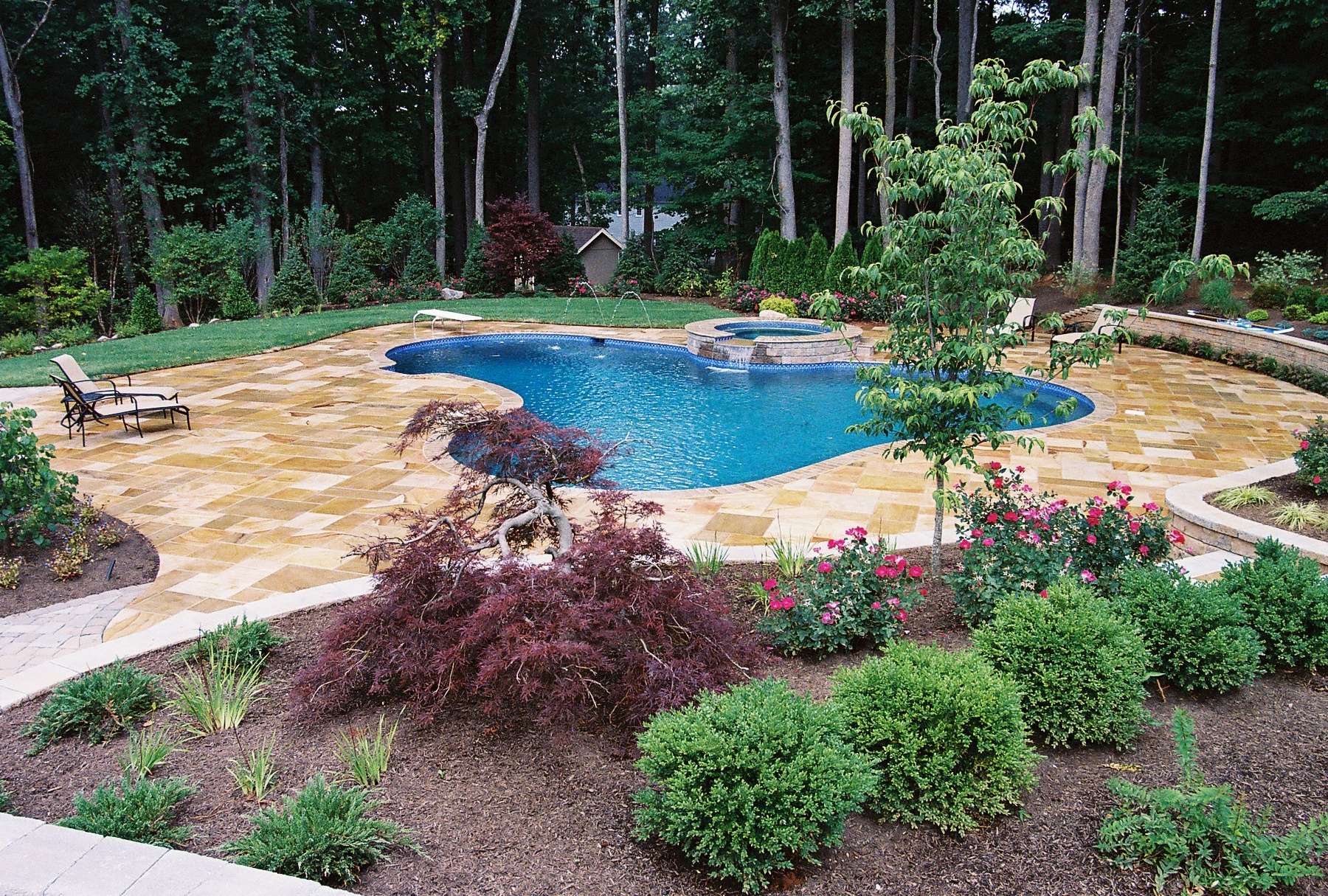 The 10 Best Pool Landscaping Ideas to Amplify Your Backyard | Levco Pools