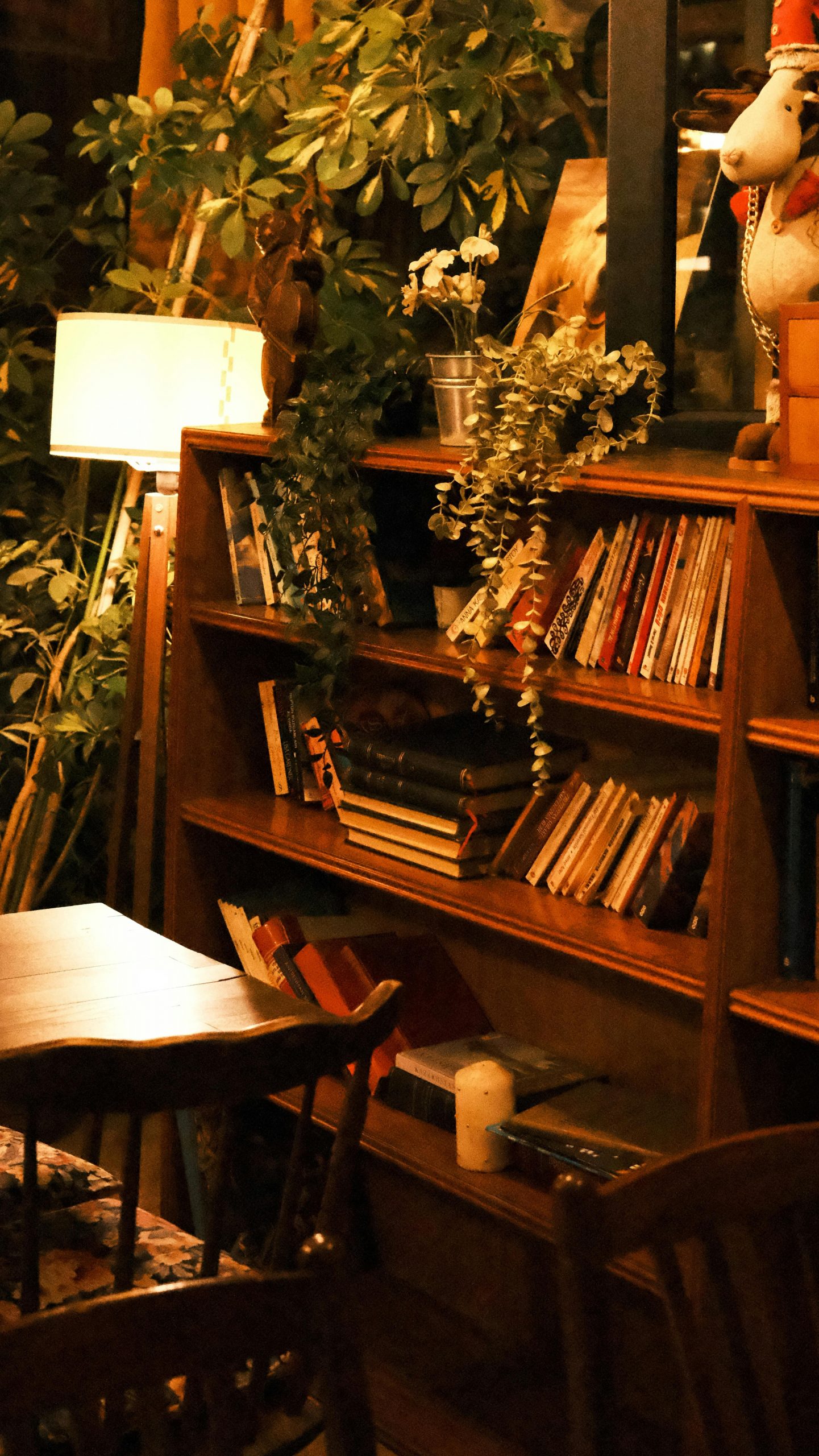 Warm, inviting library corner with wooden bookshelves, lamp, and greenery for a cozy vibe.