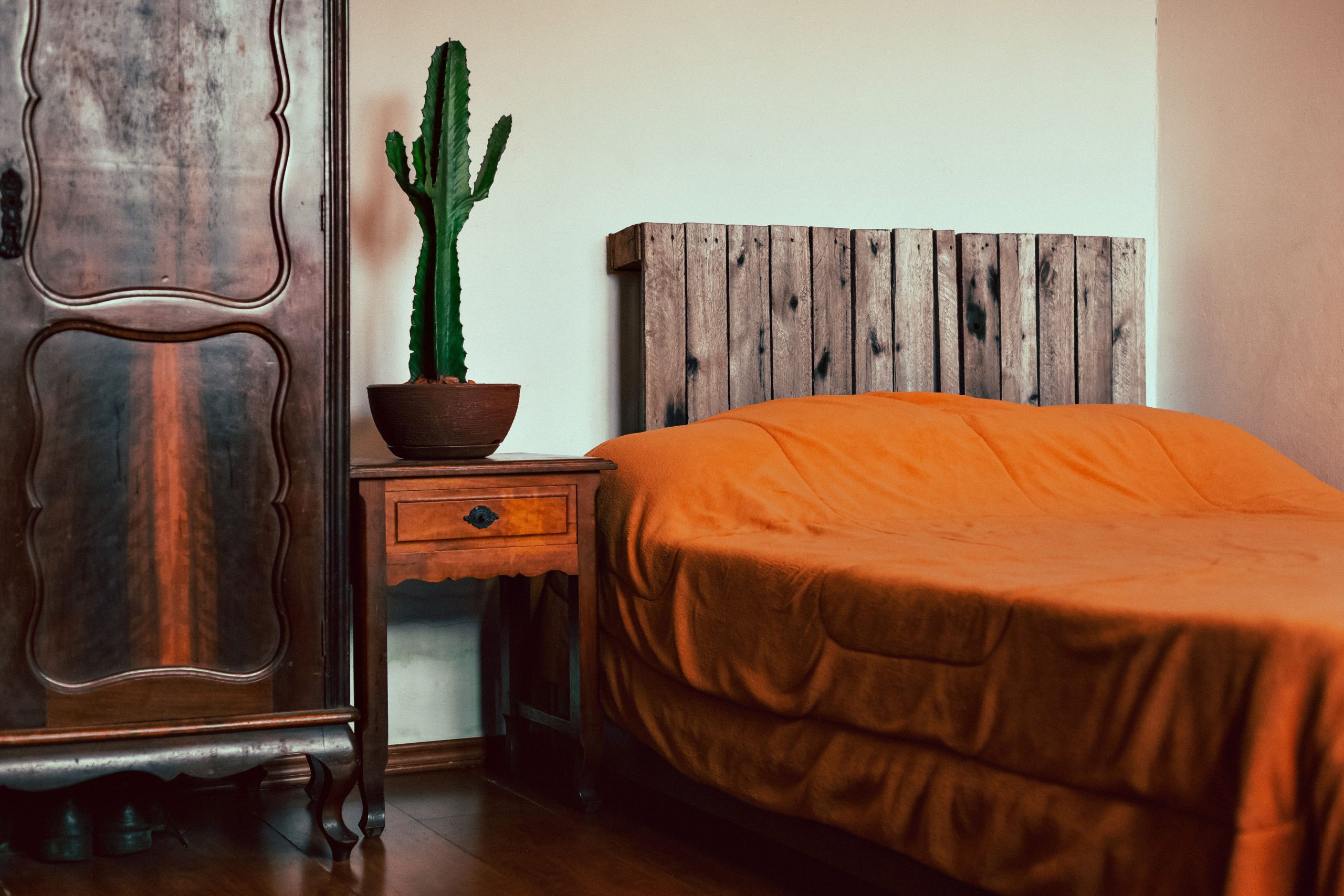 Warm-toned bedroom featuring a cactus on a bedside table, with rustic furniture and orange bedding.
