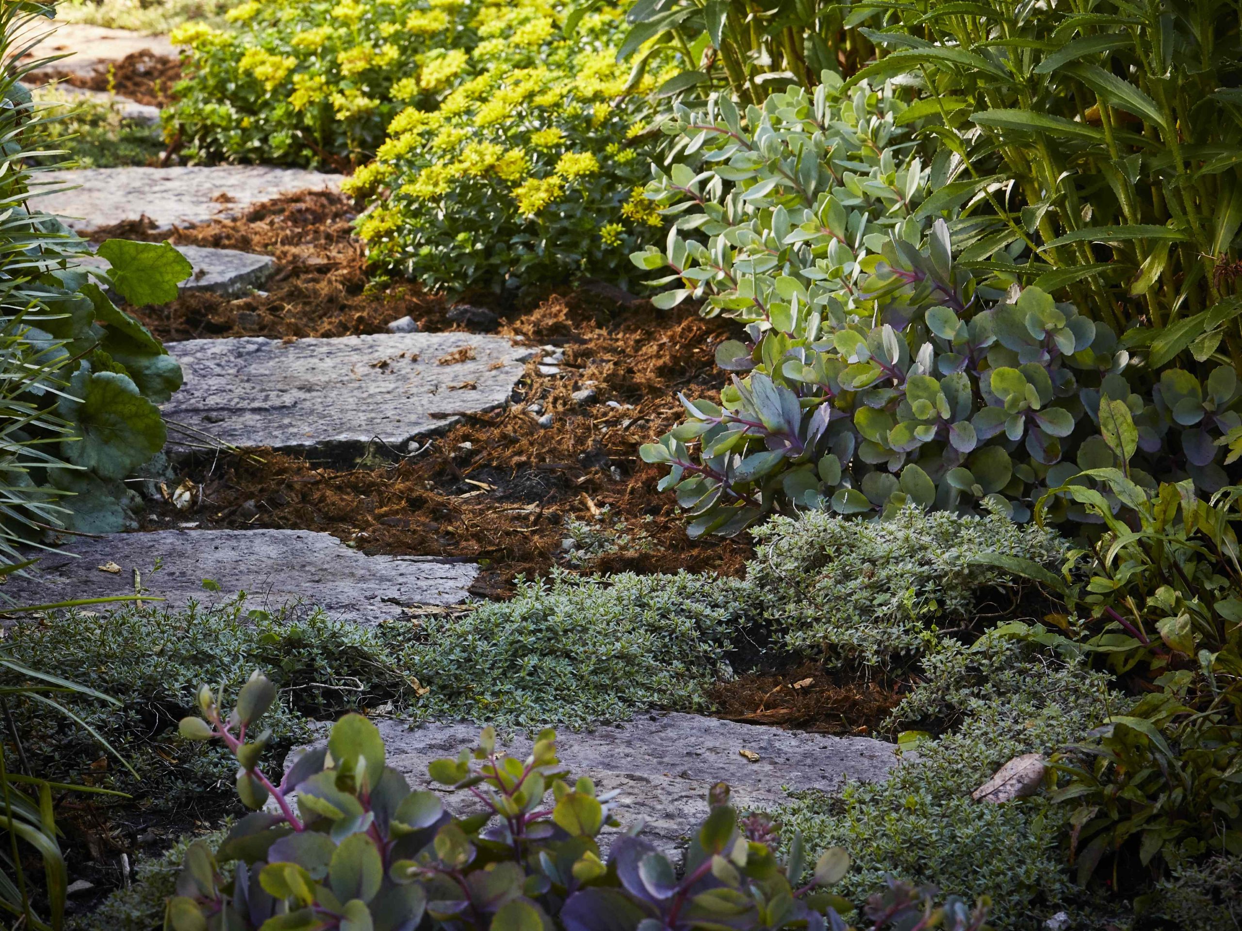 10 Budget-Friendly Garden Path Ideas You Can DIY