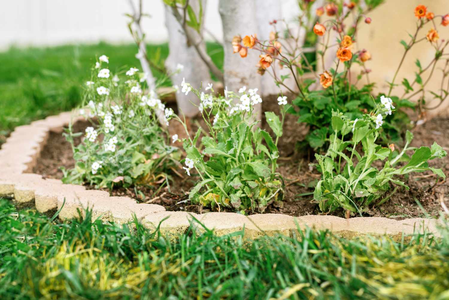 15 Brick Edging Ideas to Affordably Frame Your Garden Flowers
