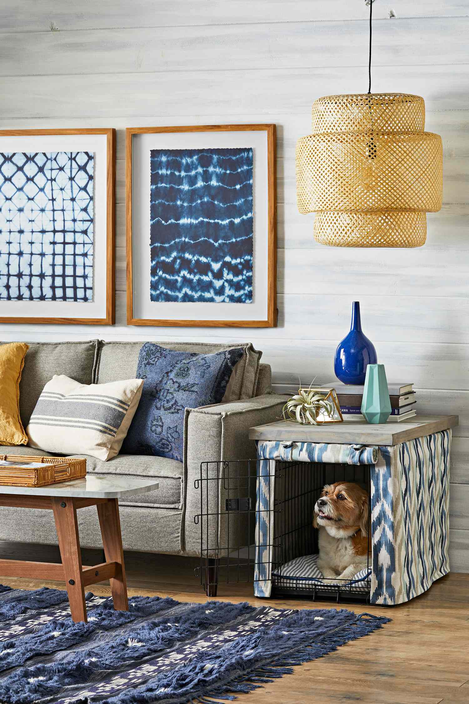 16 Dog Room Ideas for a Functional Pup Sanctuary