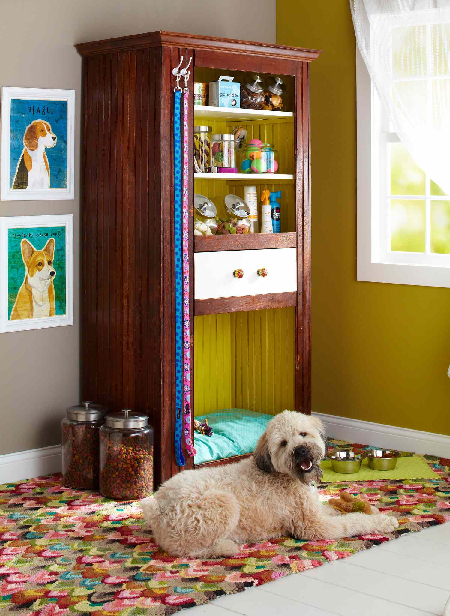 16 Dog Room Ideas for a Functional Pup Sanctuary