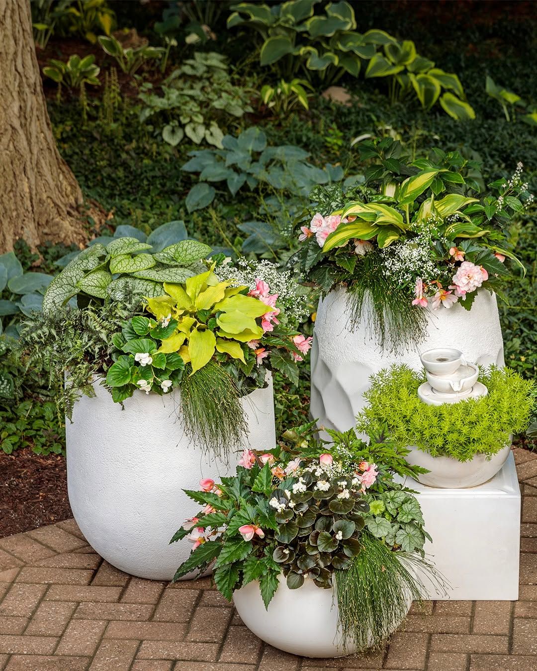 18 Container Garden Ideas for 2026 Where Planters Become the Structure of the Backyard