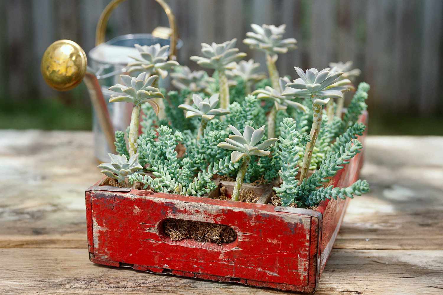 20 Containers You Never Considered Putting Plants In Before