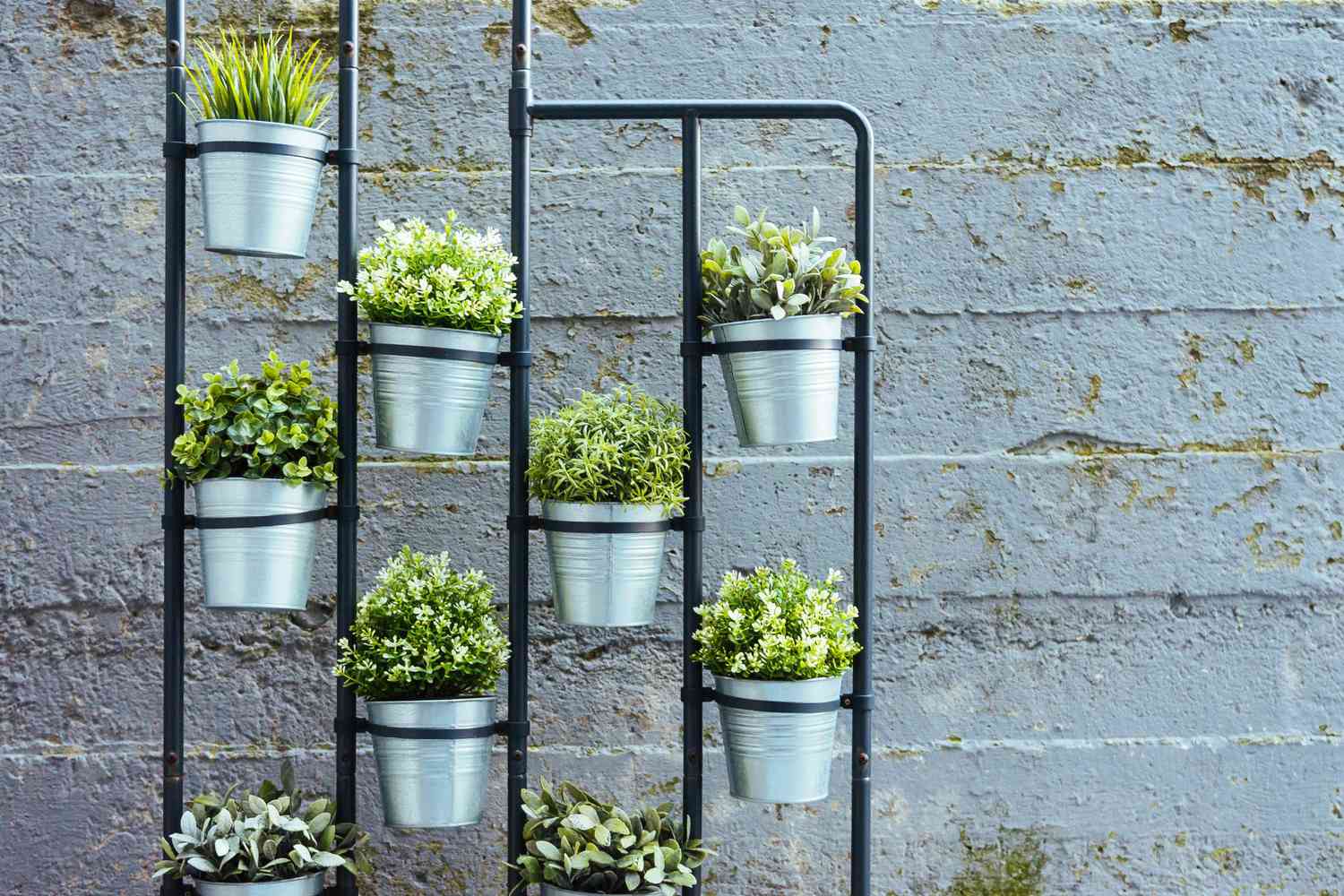 25 Container Garden Ideas to Enhance Your Outdoor Space