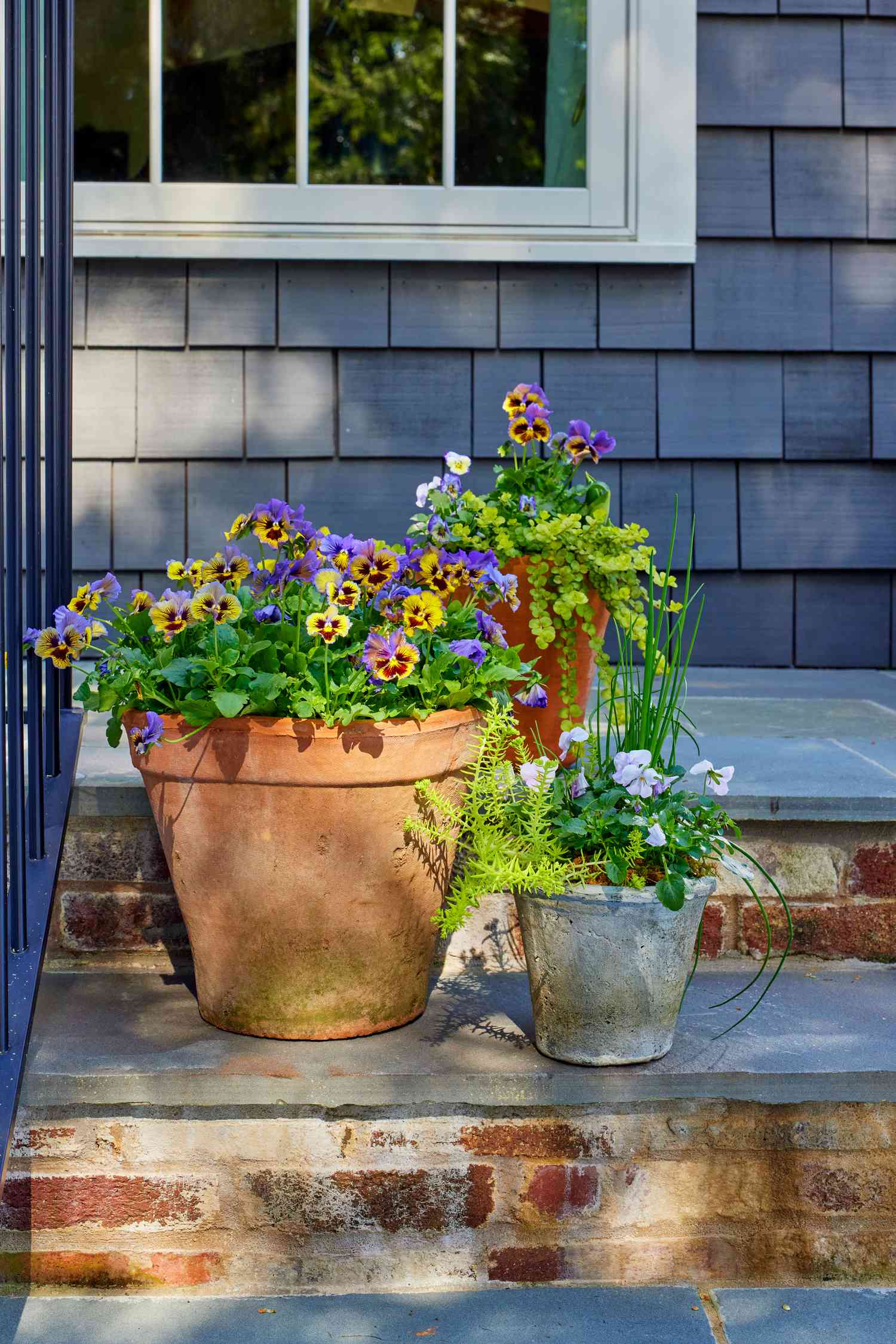 38 Colorful Spring Container Garden Ideas