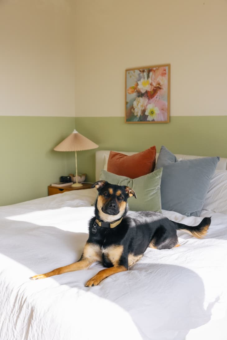 7 Rooms With Two-Toned Walls That We Can't Get Enough Of | Apartment Therapy
