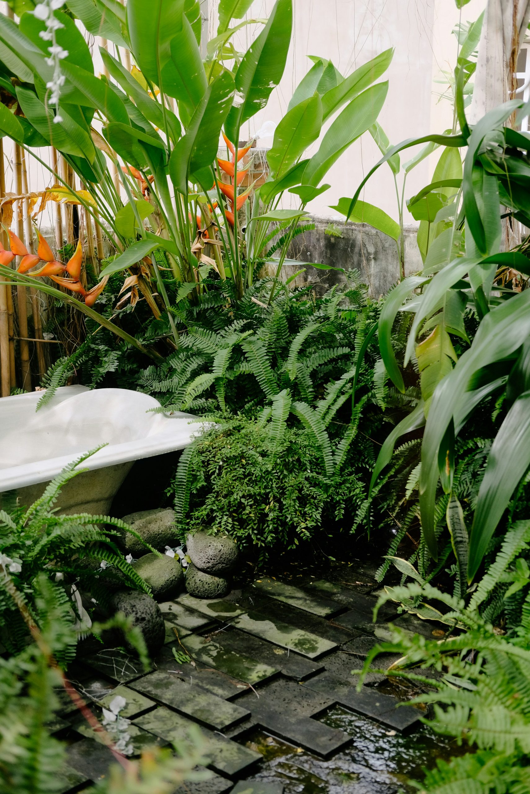 a bathtub surrounded by plants and rocks
