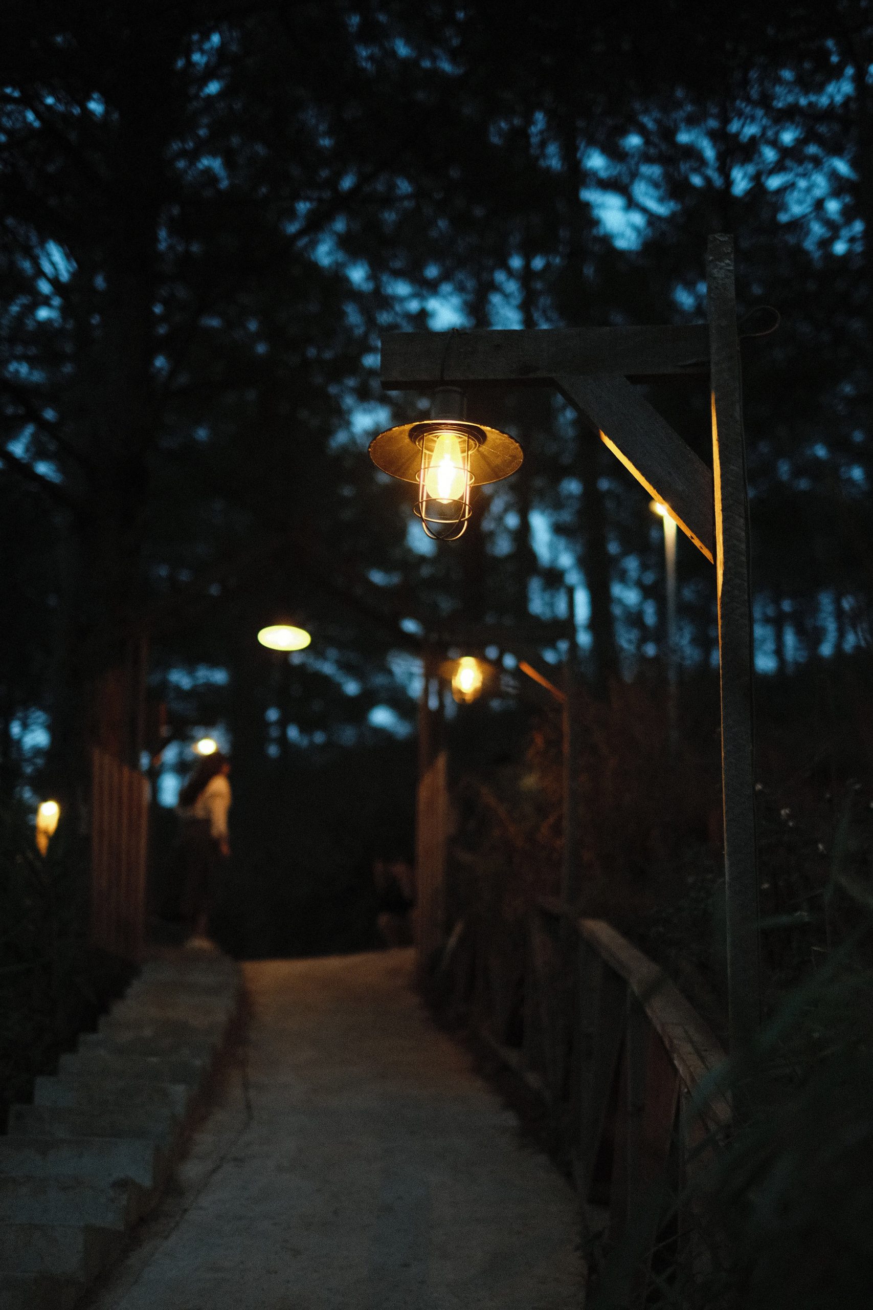 A charming rustic path lined with glowing vintage lanterns under a starlit forest sky.