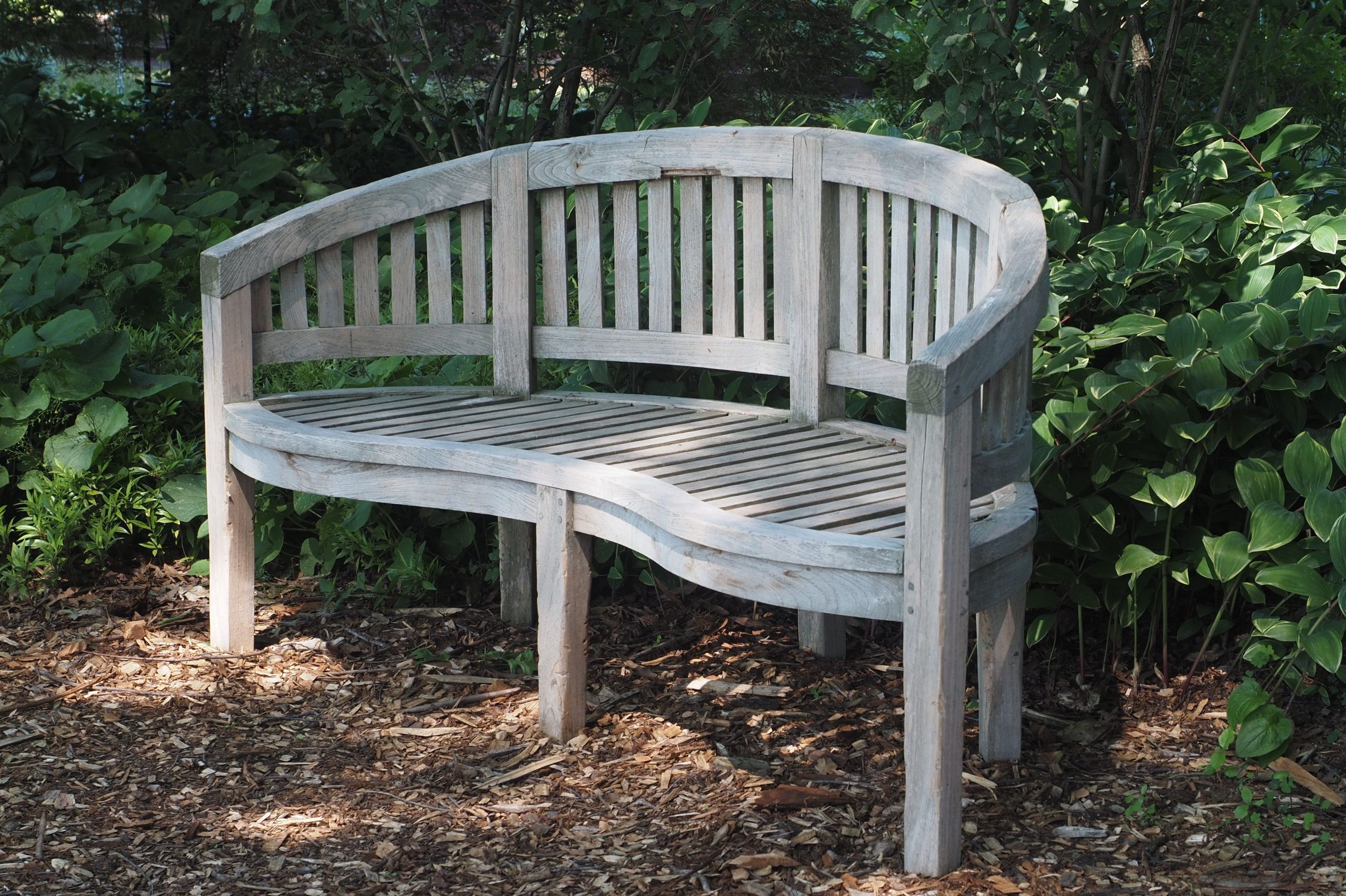 A classic wooden curved bench surrounded by lush garden greenery in Philadelphia.
