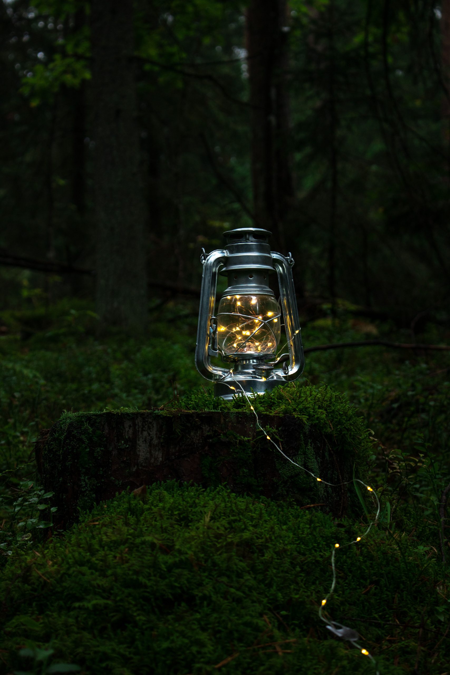A glowing lantern on a mossy tree stump creates a mystical vibe in a dark forest.