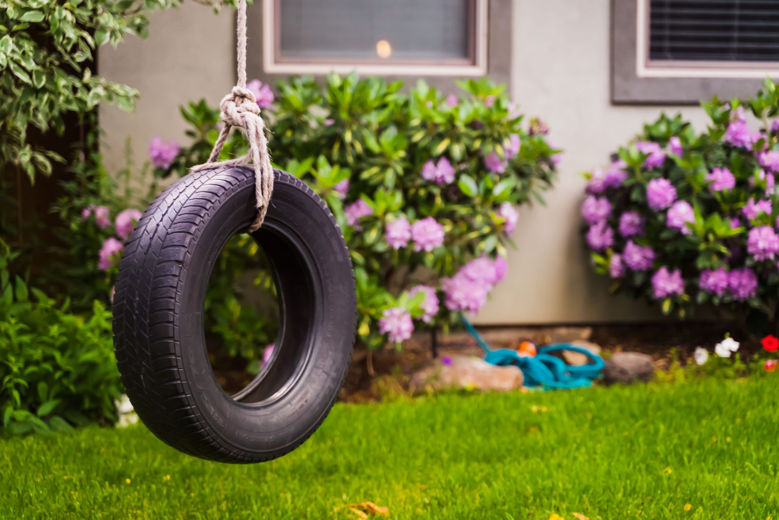 A nostalgic tire swing hanging in a colorful backyard with blooming flowers.